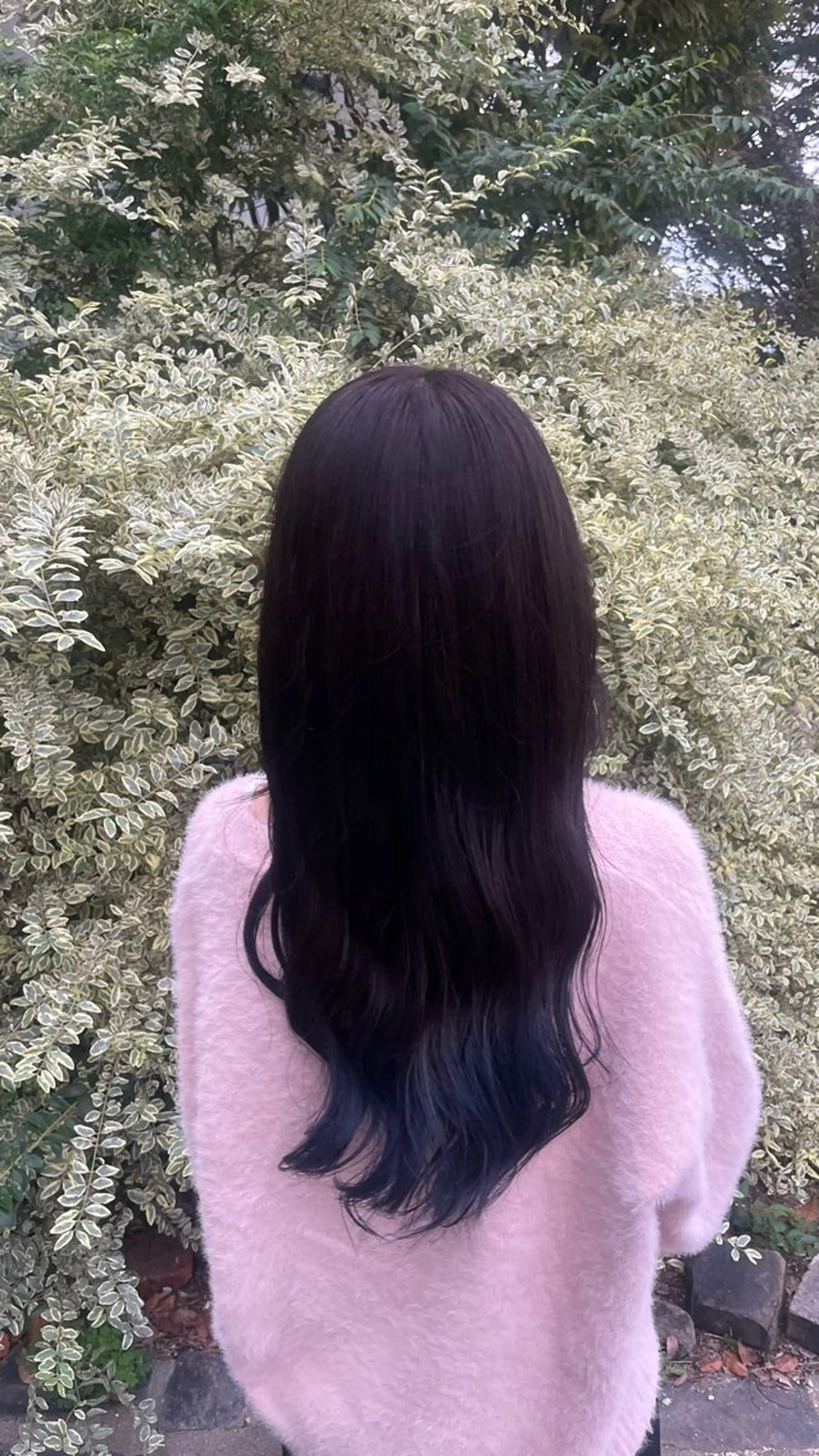 ロング いくみ/豊橋 /艶カラー/髪質改善のヘアスタイル