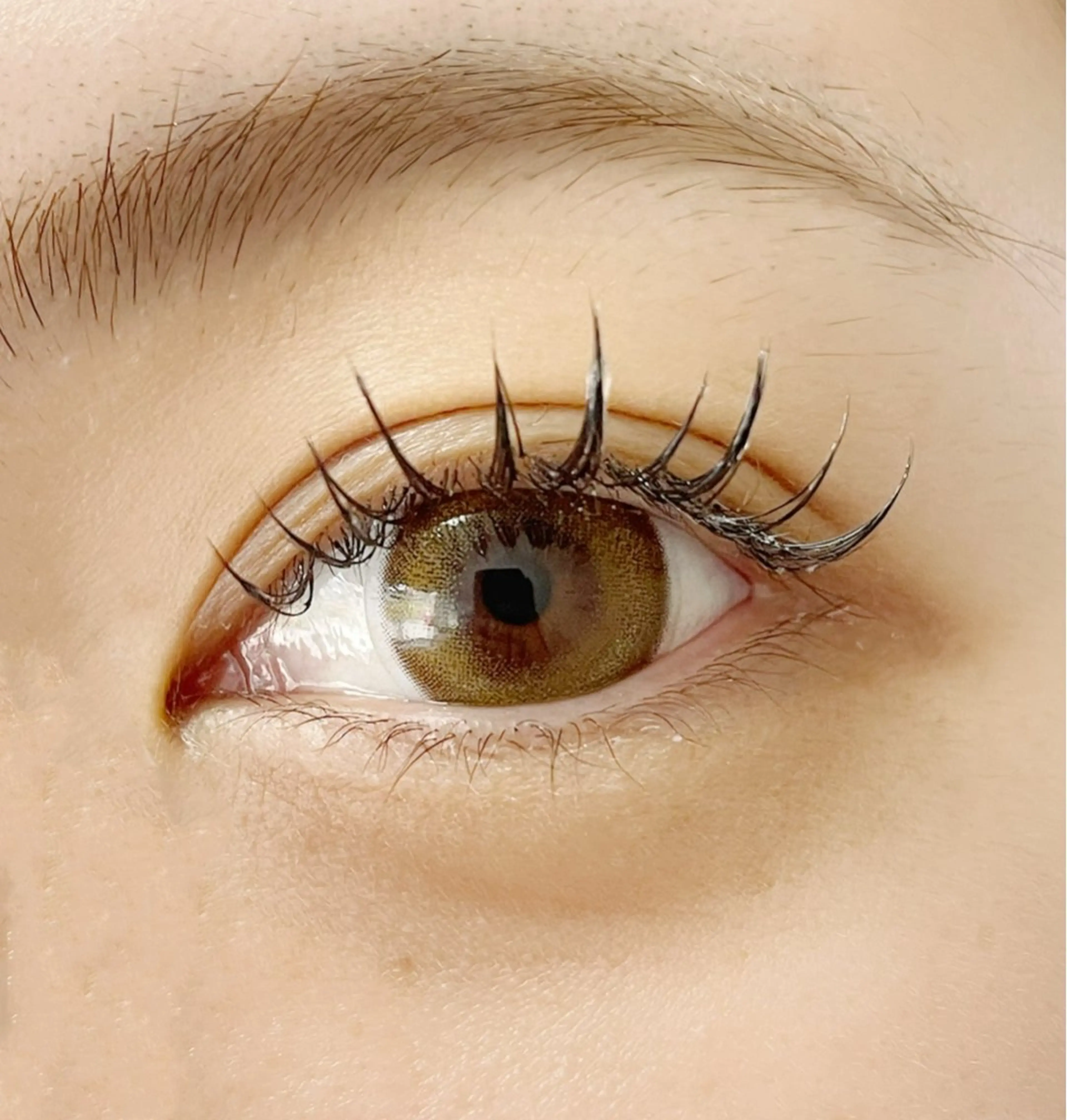 マツエク・マツパ ワンホンマツエク マツエク colors【カラーズ】所属・colors💐 《岐阜》のマツエク・マツパデザイン