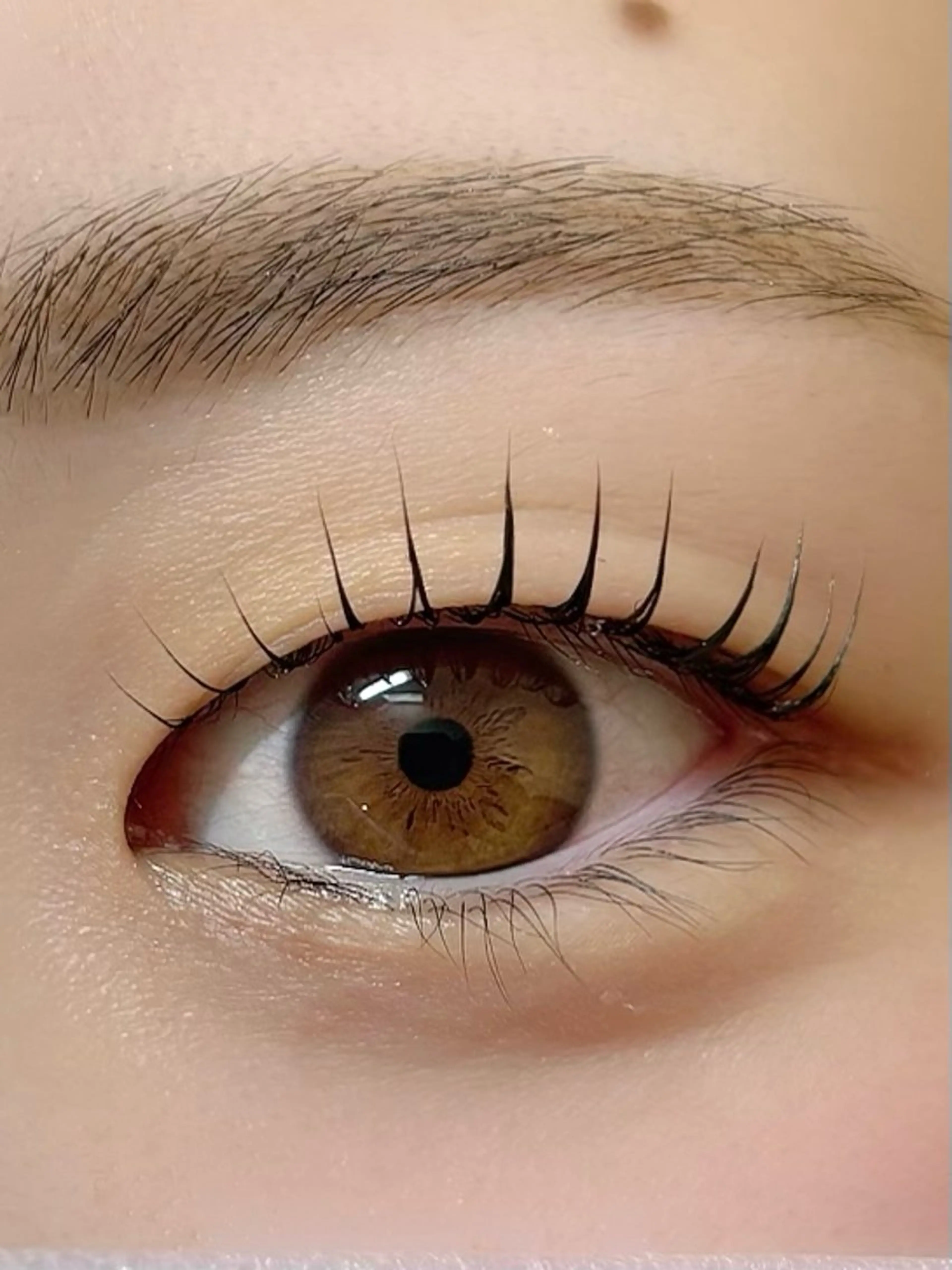 リピーター様専用🌼パリジェンヌラッシュリフト/まつげパーマ🌿媒体掲載用撮影モデル様募集💫平日9時~16時の写真