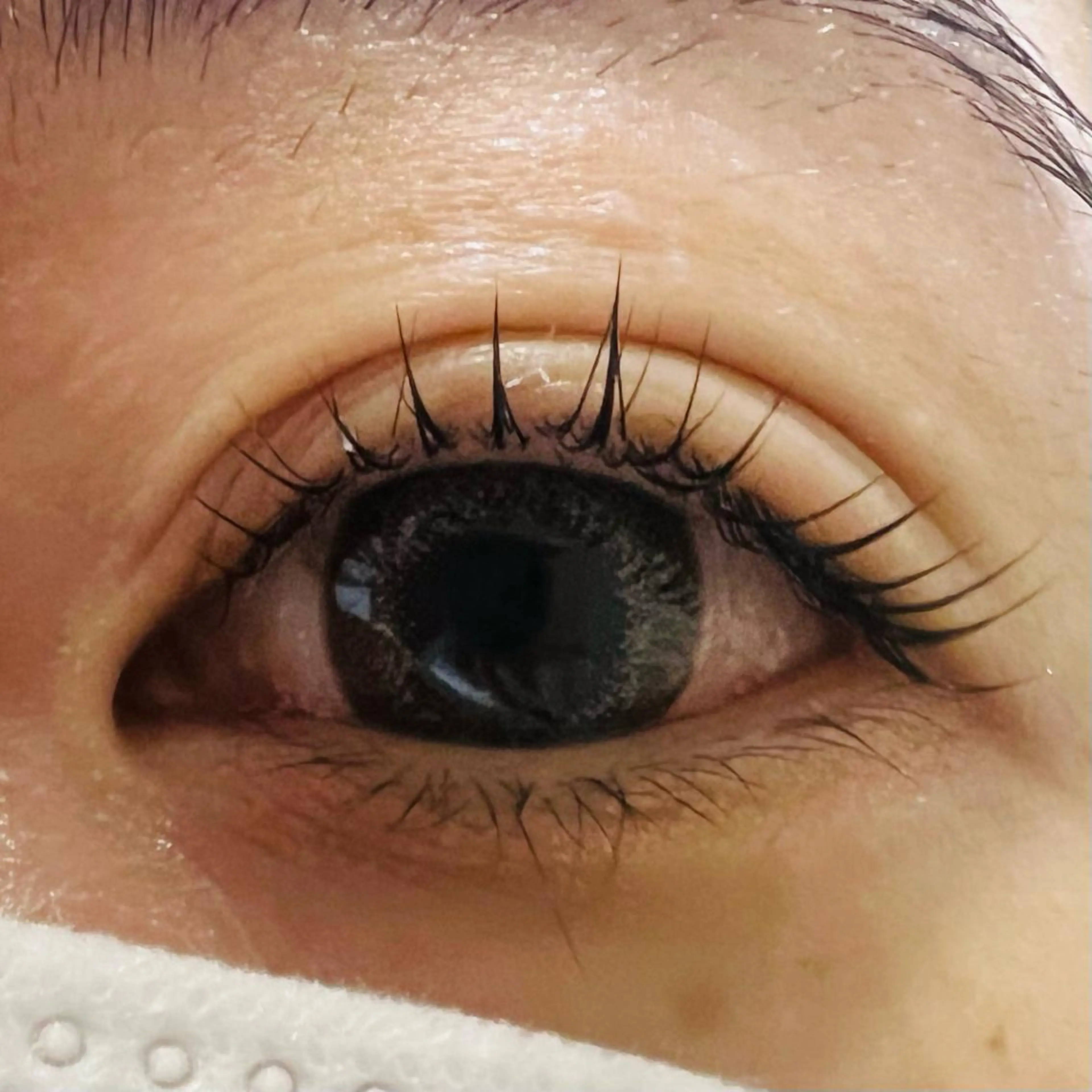 マツエク・マツパ miel中百舌鳥所属・miel yamaguchiの眉毛・アイブロウイメージ