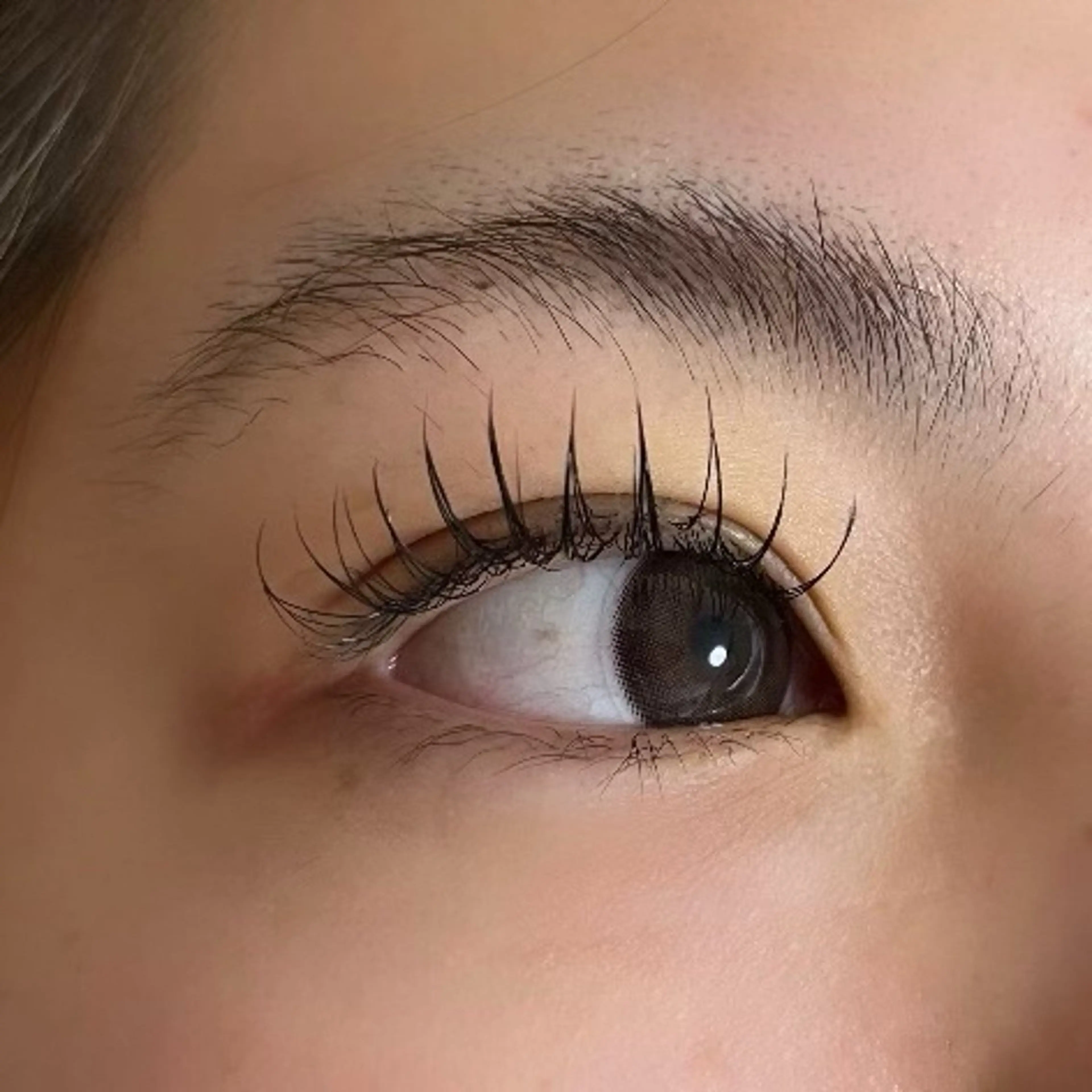 マツエク・マツパ 束感まつ毛 Dカール brilliant 森小路徒歩1分💎のマツエク・マツパデザイン