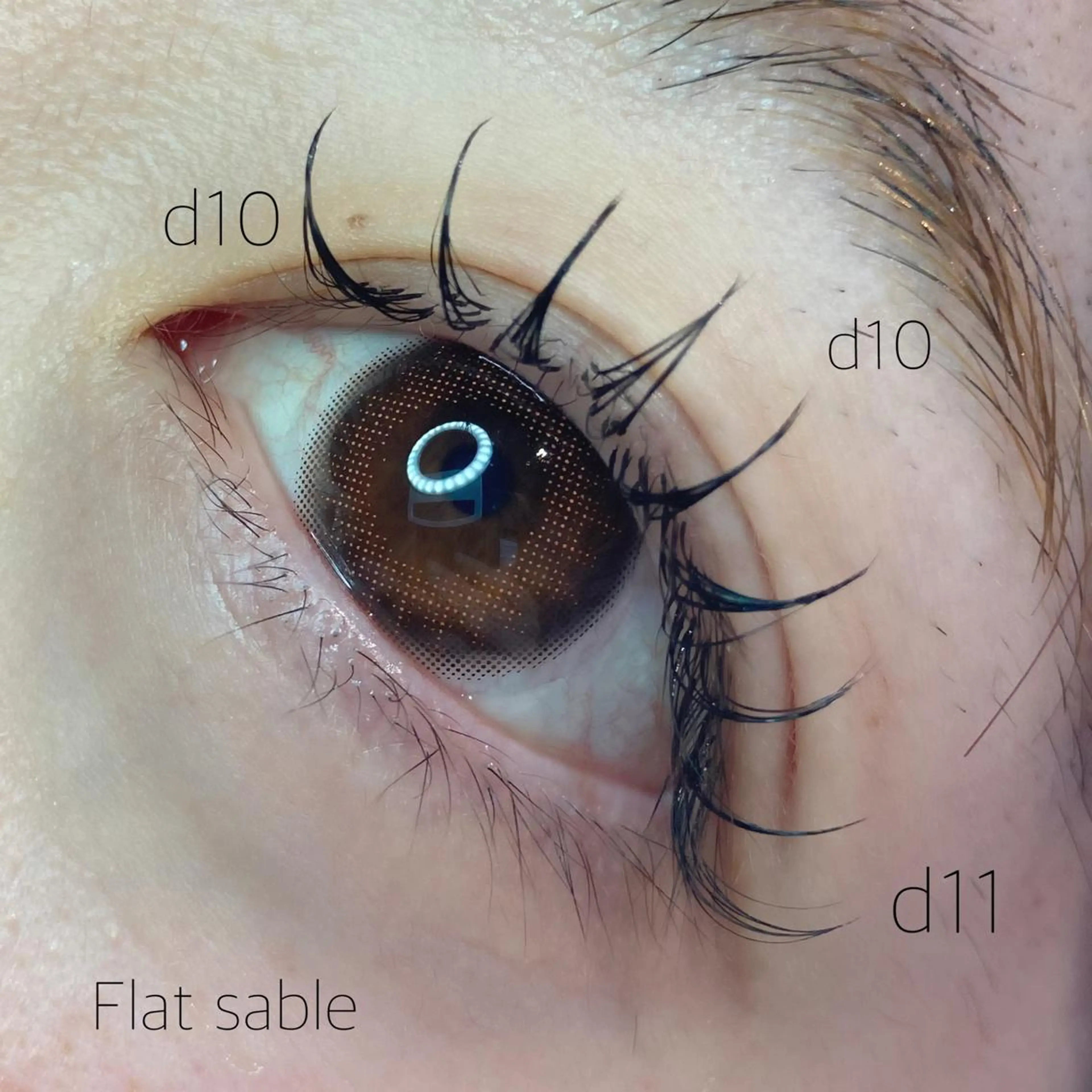 マツエク・マツパ アイブロウ ナチュラル マツエク TOPアイリスト ふたつぎちさとのマツエク・マツパデザイン