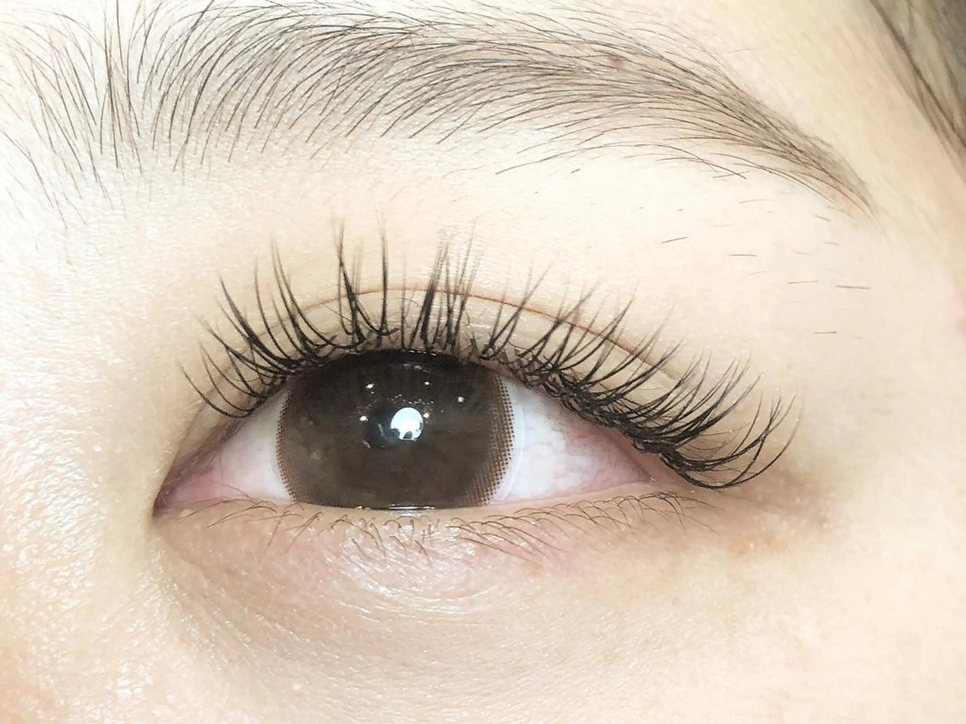 マツエク・マツパ マツエク Leola ERIKAのマツエク・マツパデザイン