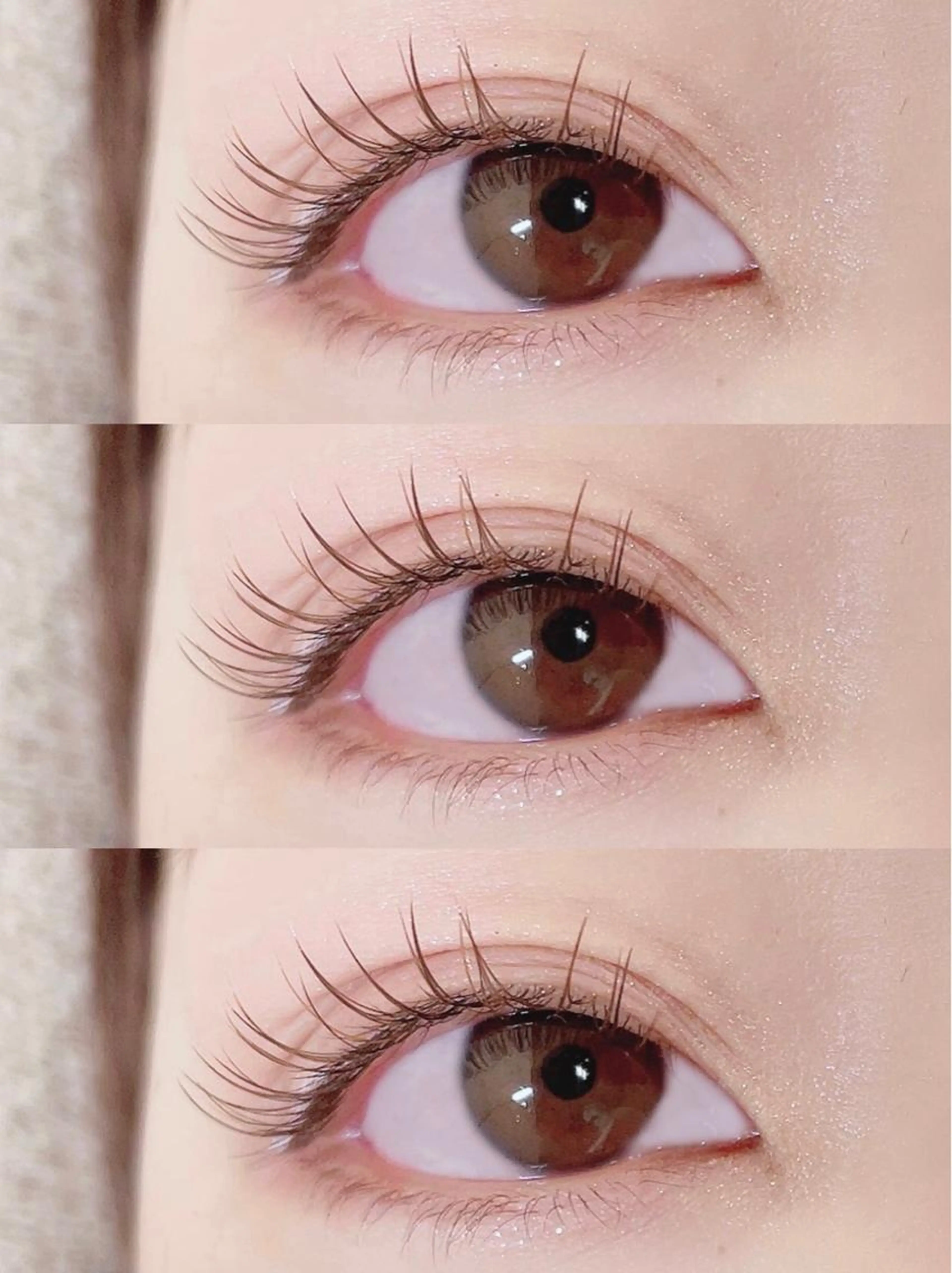 最高級セーヴル80本【初回限定価格】の写真