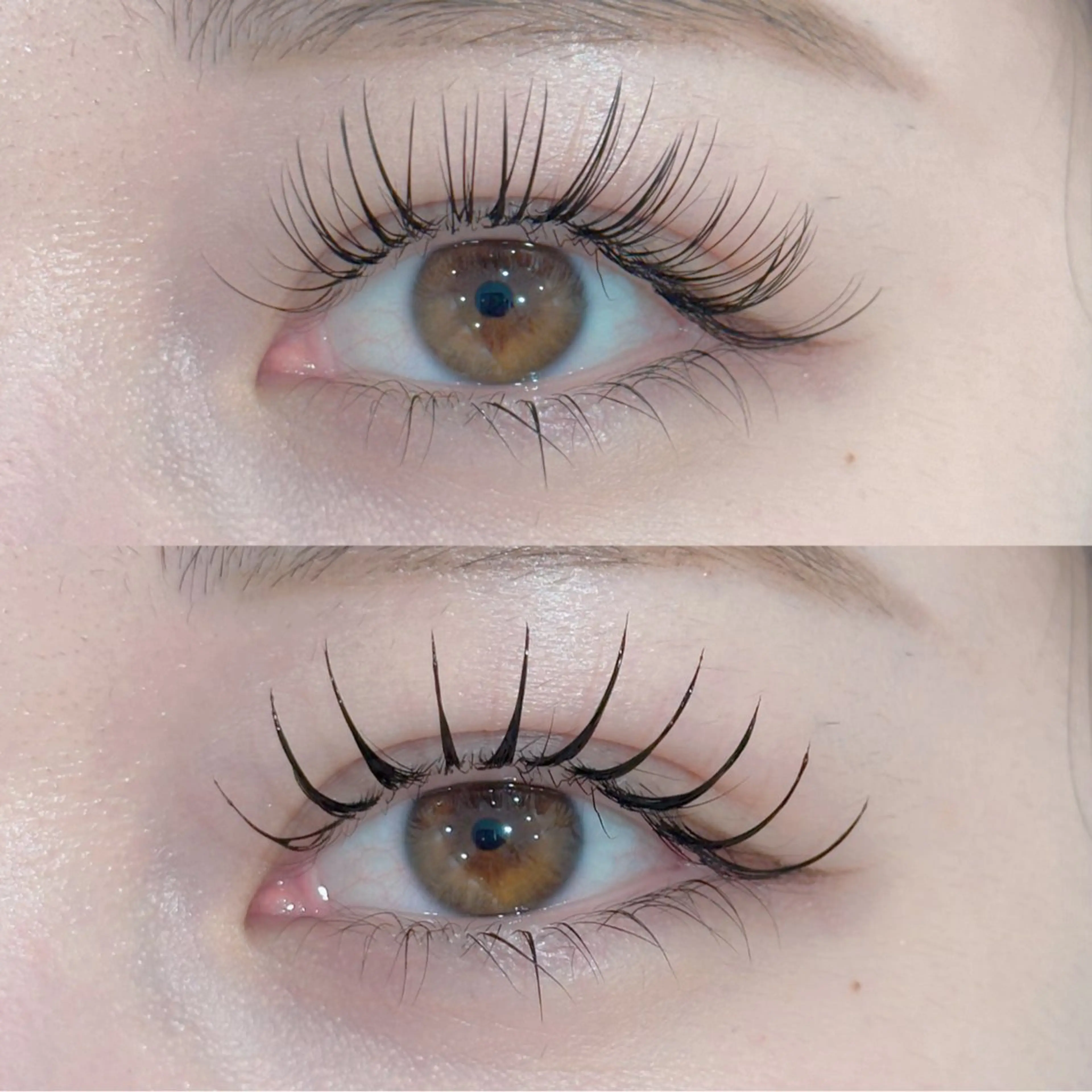 【12/24(水)～25(木)】🦋シングルエクステ90分付け放題100~120本🦋【最低保証100本】オフ込の写真