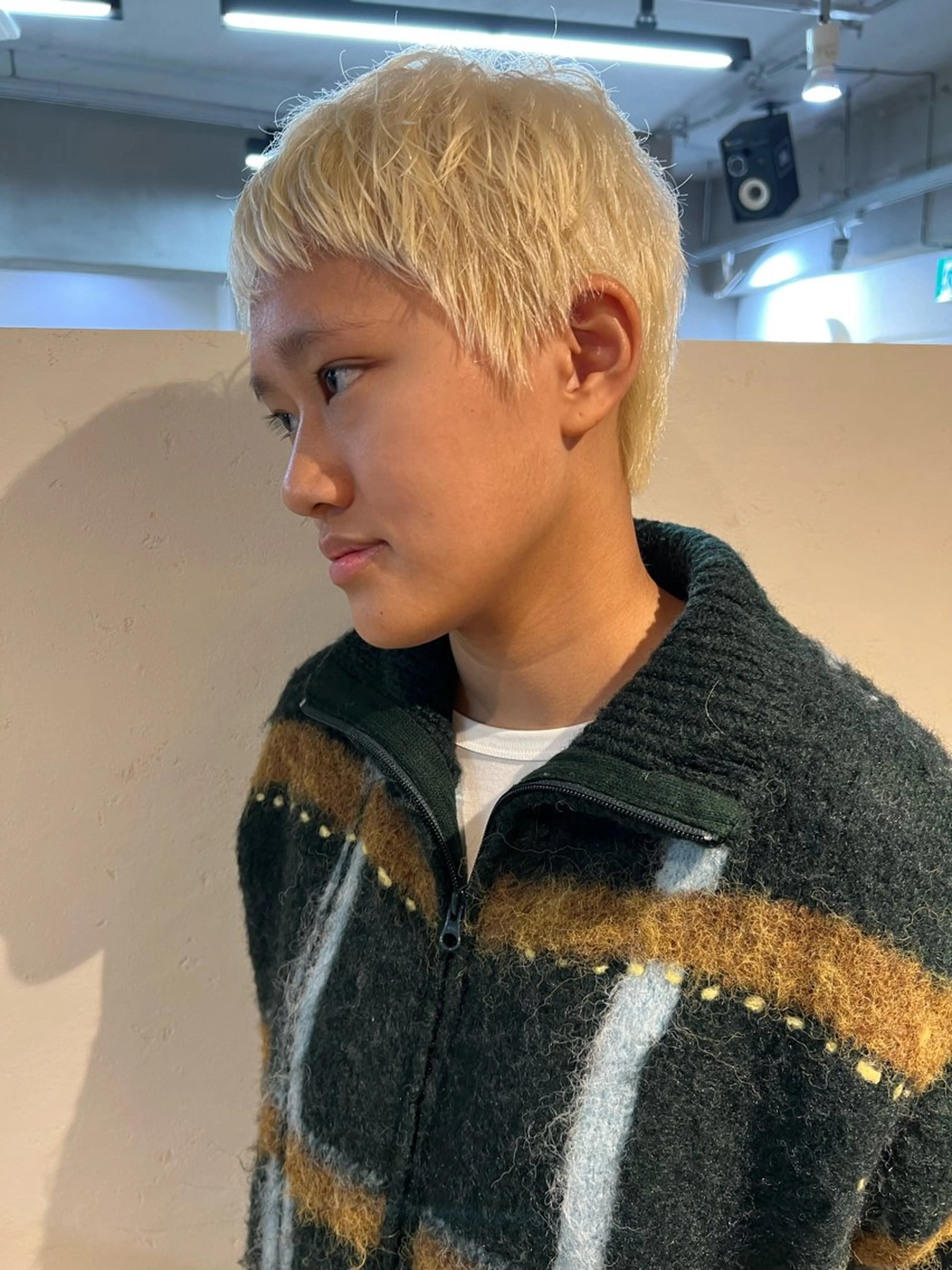 ショート カット ヘアカラー 東のりか/ハイトーン ブリーチカラー/ボブのヘアスタイル