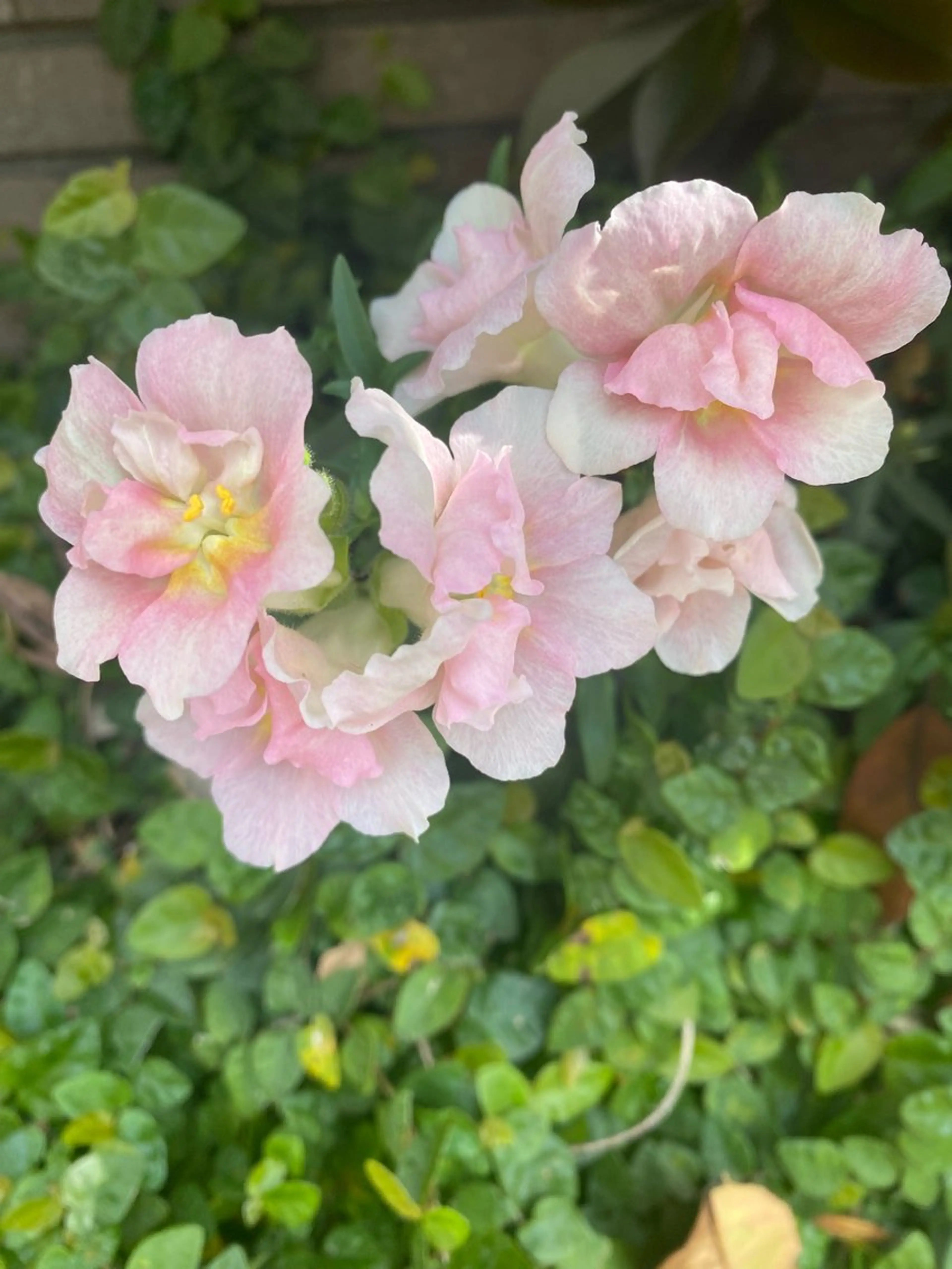 ネイル free hug Hiromiのネイルデザイン