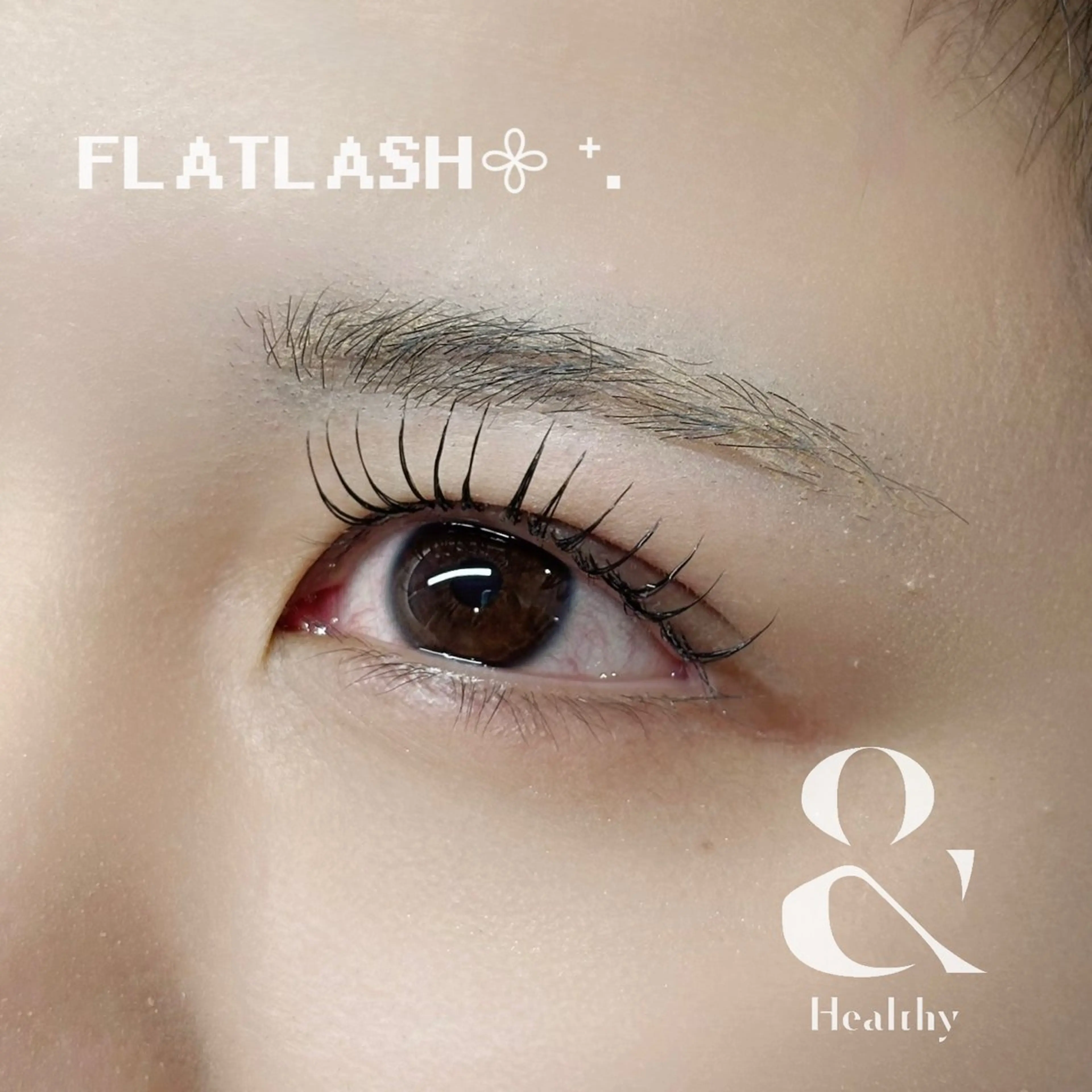 マツエク・マツパ Cカール フラットラッシュ マツエク ハルナ🐈⬛ Arune 大宮のマツエク・マツパデザイン