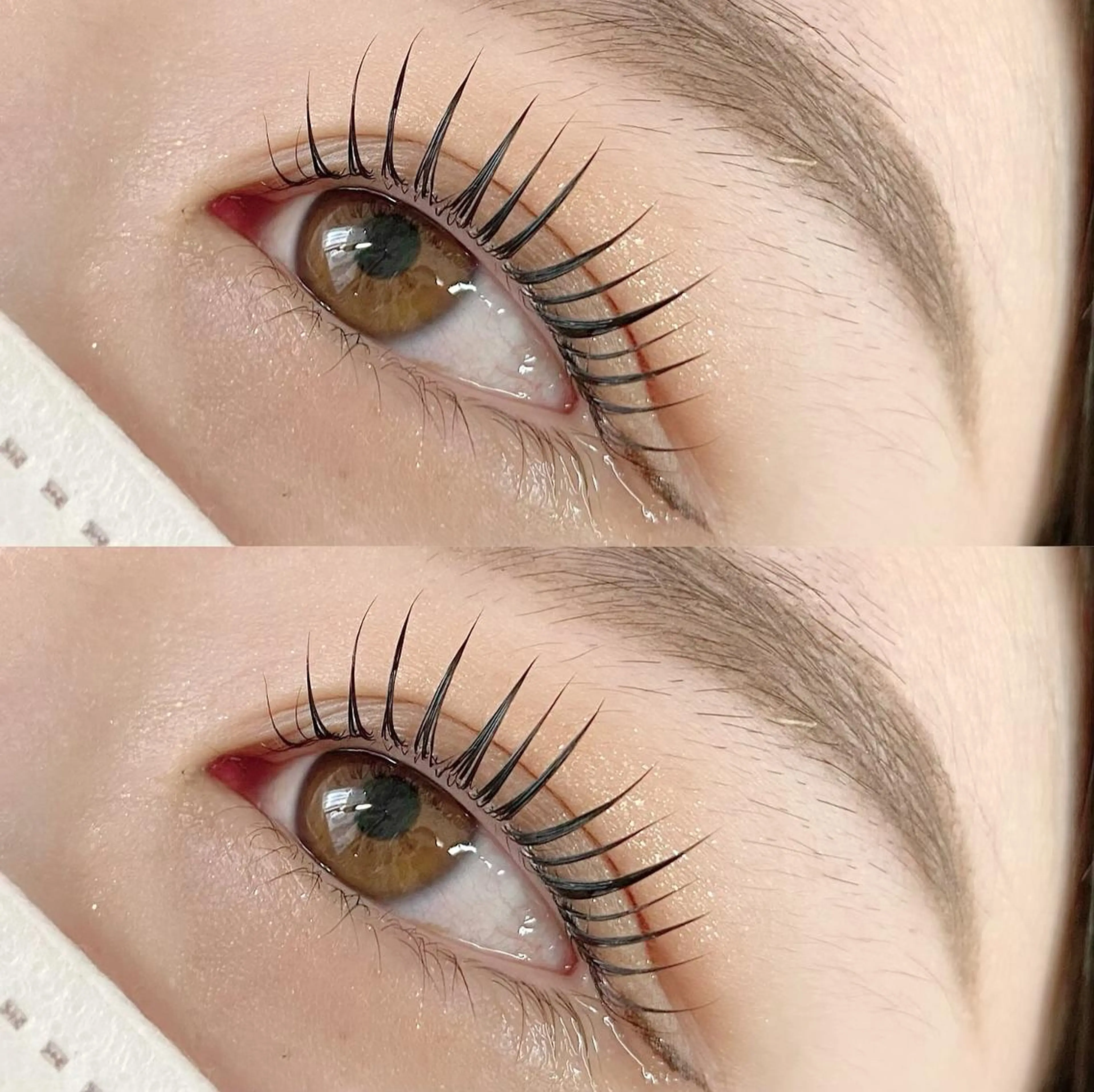 【12月限定お得🉐set】パリジェンヌ＋アイブロウwax￥10980の写真