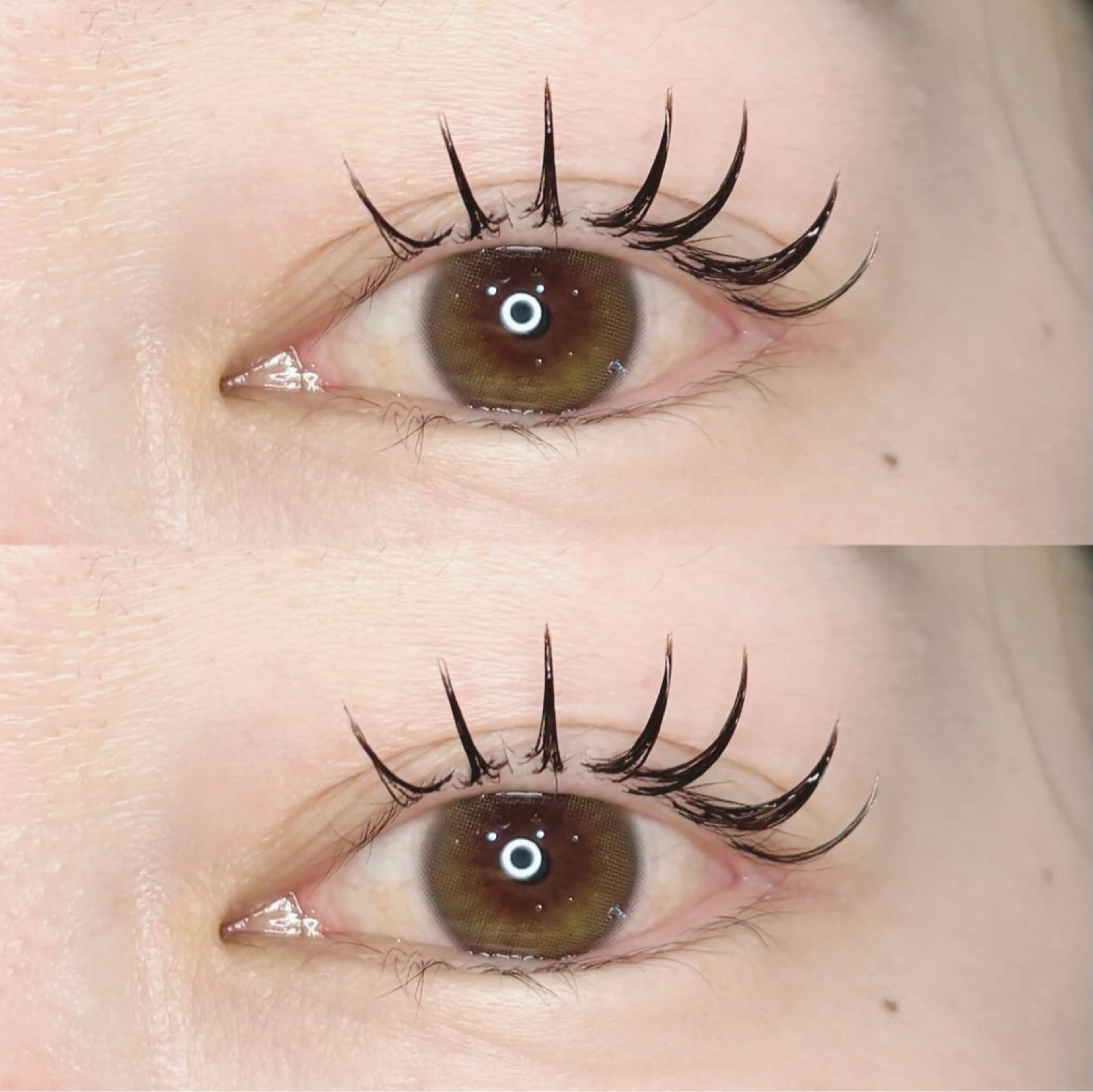 【🤎新導入キャンペーン価格🤎】ダブルフラットラッシュ80束(160本)の写真