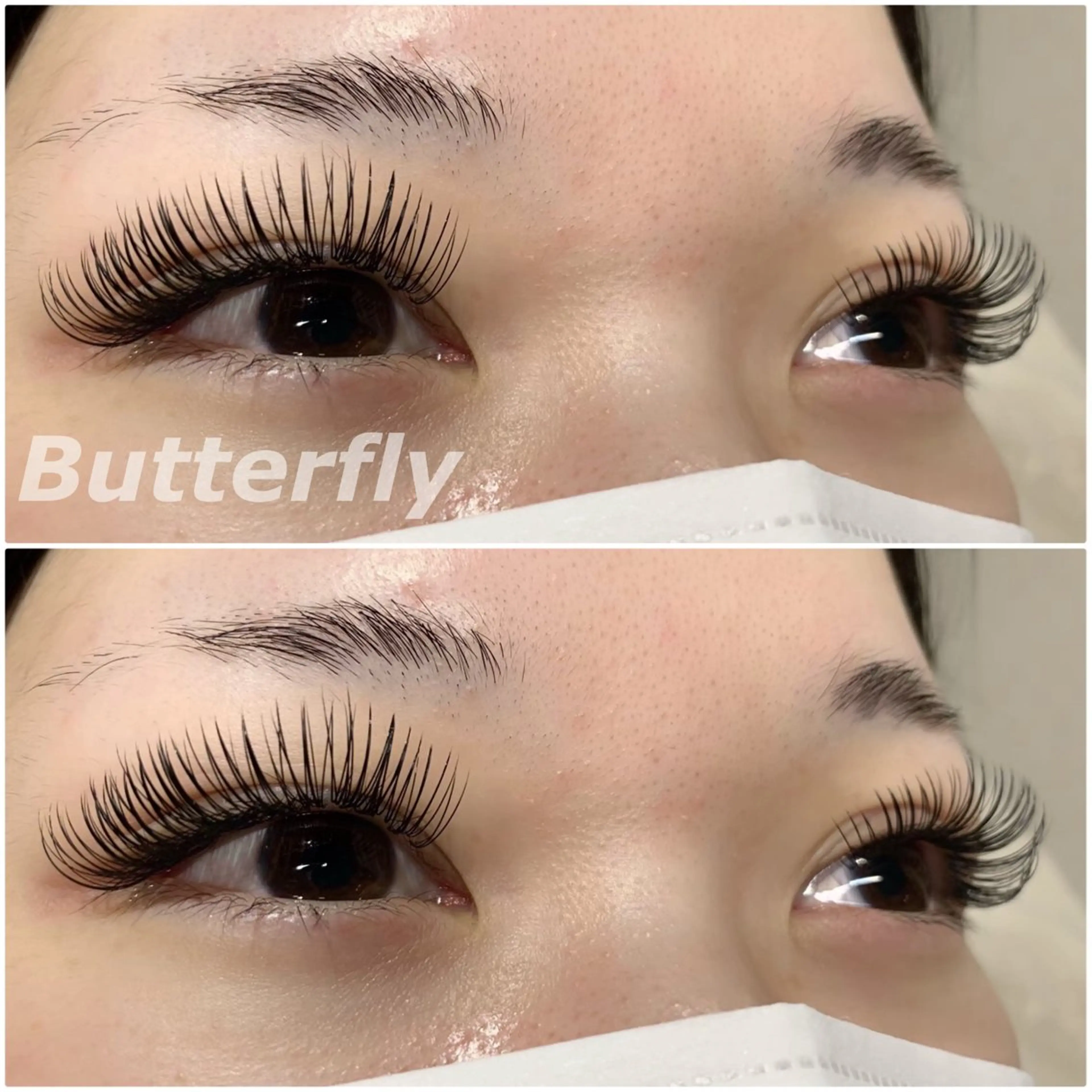 マツエク・マツパ Butterfly 平塚店   横山のマツエク・マツパデザイン