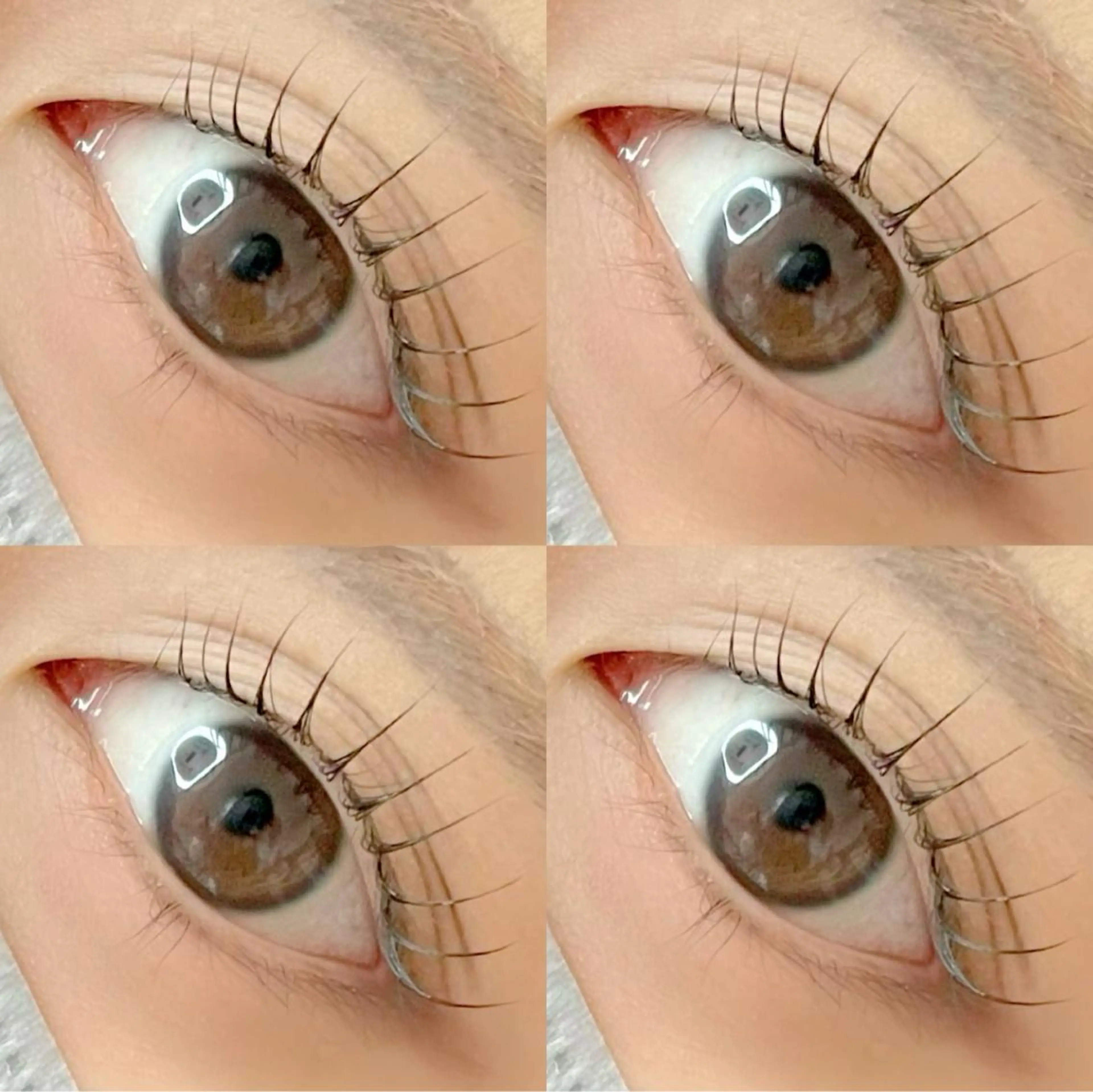 ラッシュリフト💓上下リピーター様😊の写真