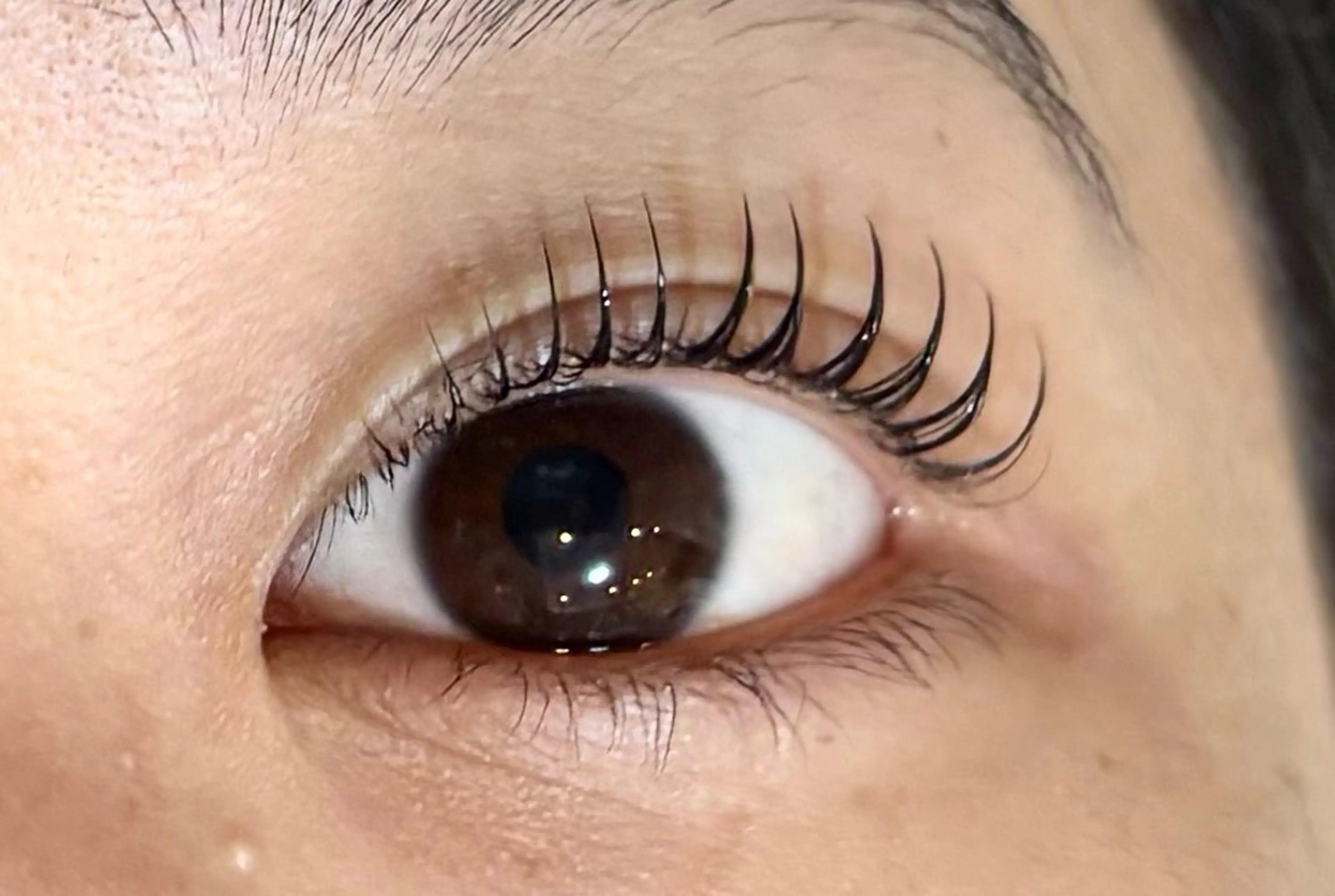 マツエク・マツパ パリジェンヌラッシュリフト by MARIE TERESIA JR三ノ宮駅前店所属・藤岡 瑞穂のマツエク・マツパデザイン