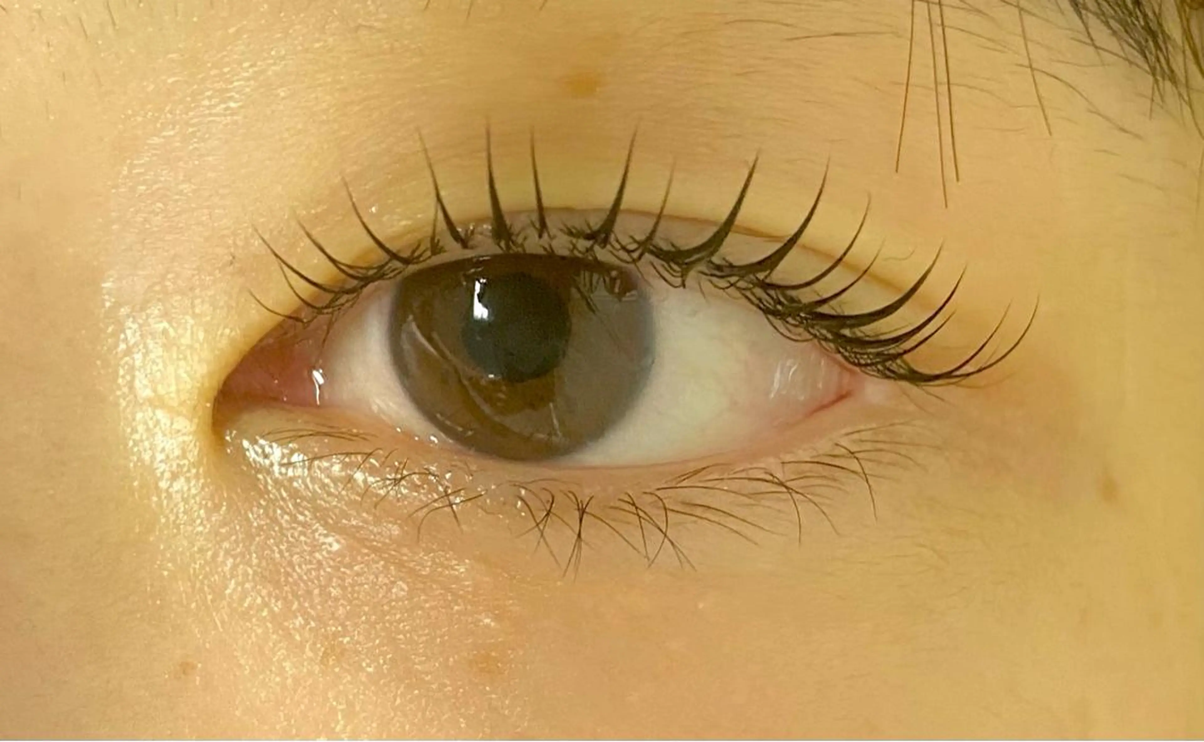 マツエク・マツパ アイブロウ Cカール メンズ眉毛サロンSENSE 津田沼所属・SENSE 津田沼 YUIKAの眉毛・アイブロウイメージ