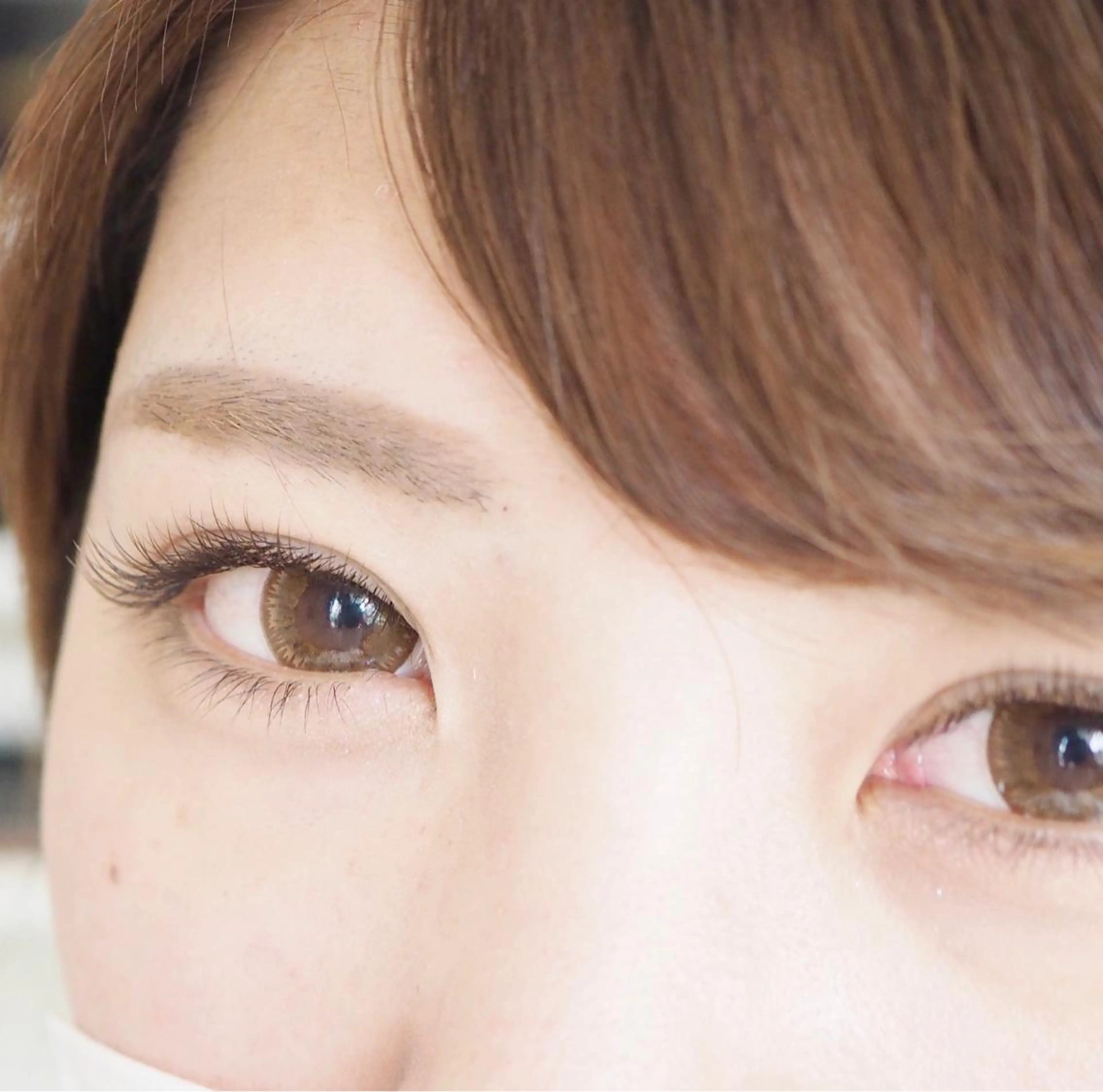 パリエク80本の写真