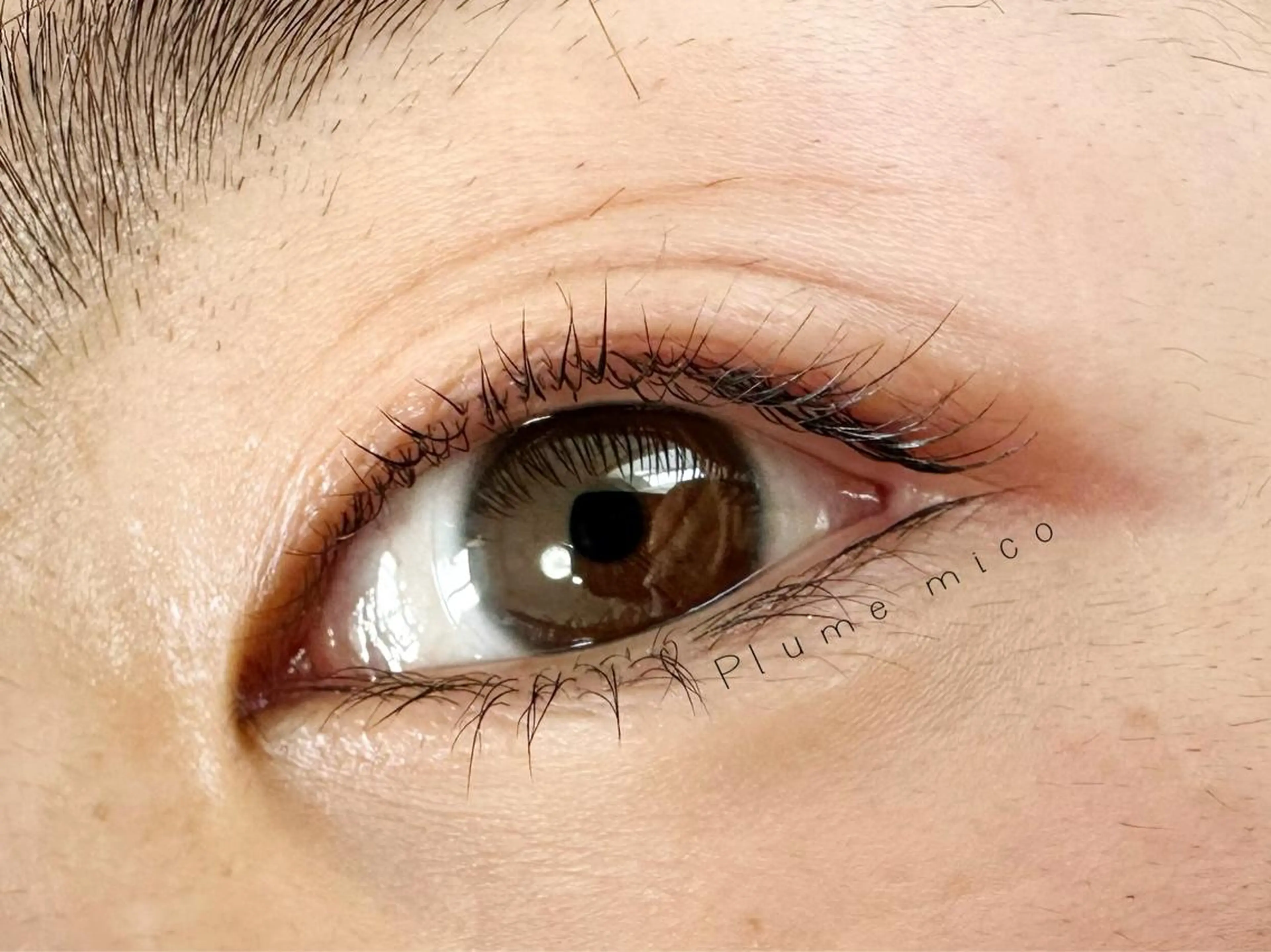 マツエク・マツパ マツパ Plume micoのマツエク・マツパデザイン