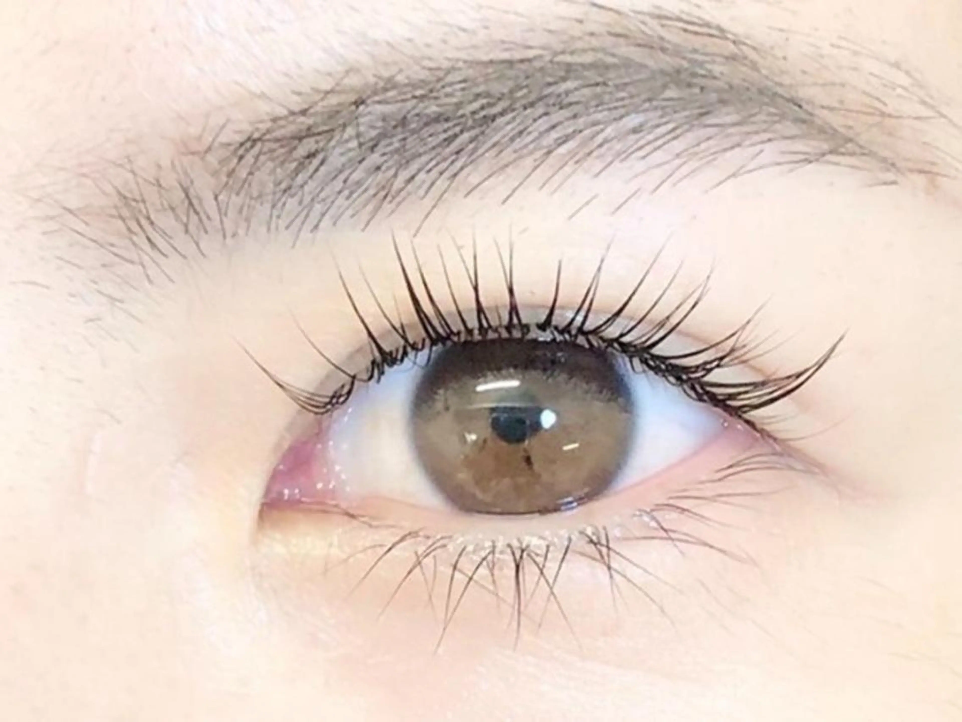 マツエク・マツパ mila池袋　原田 （&3）のマツエク・マツパデザイン