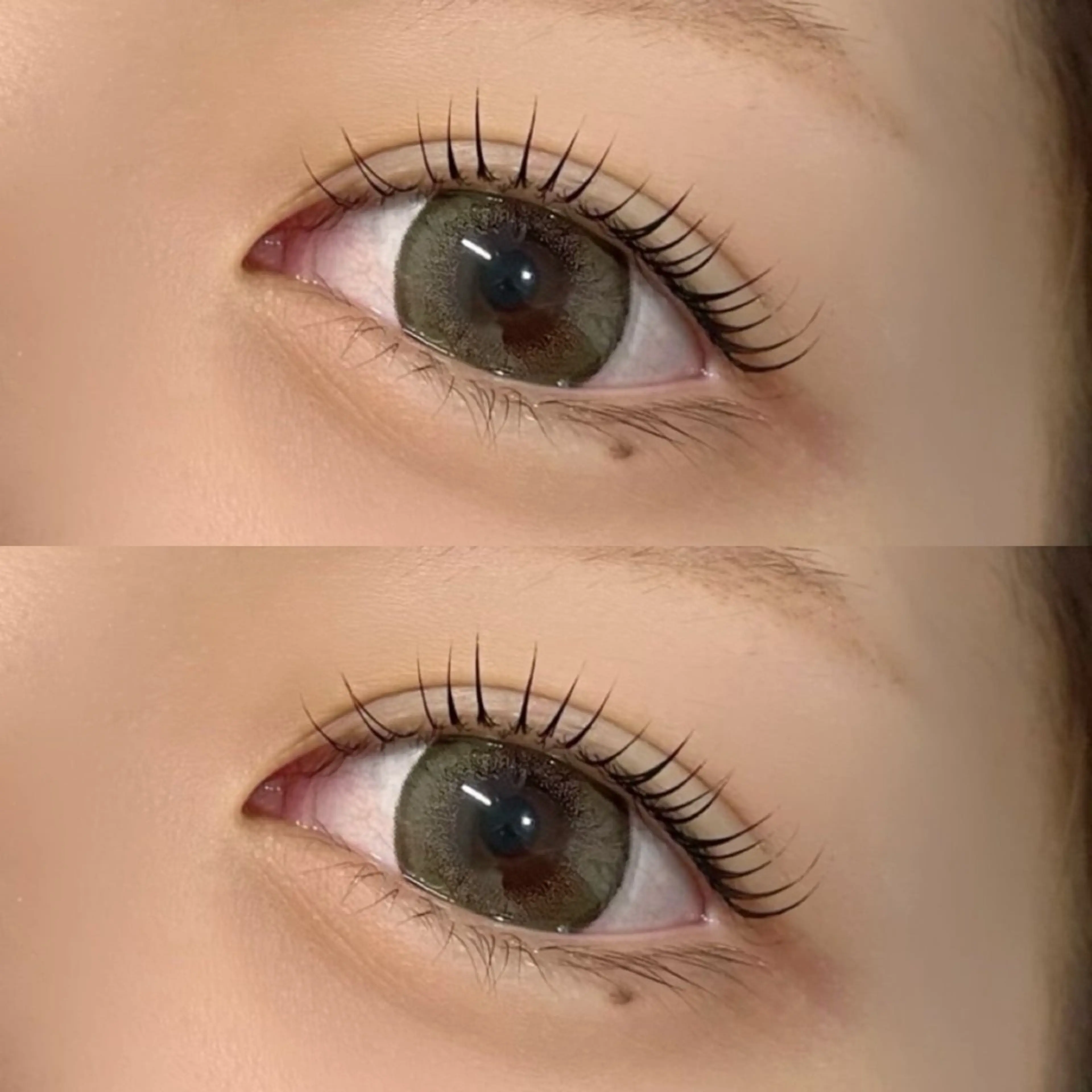 【再来】80本セーブル（カラー＋500円）オフ＋500円の写真