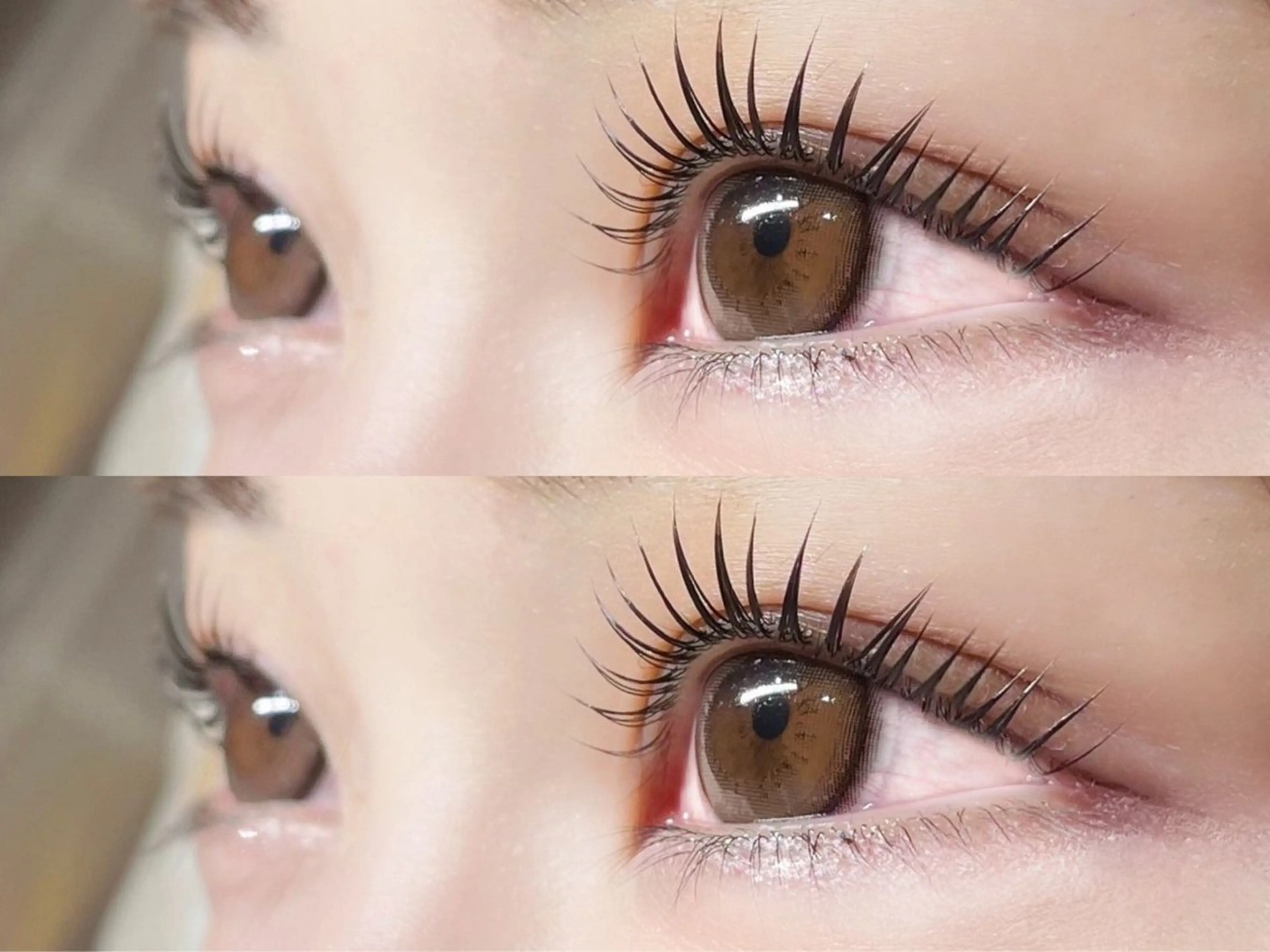 👀まつげパーマ👀の写真
