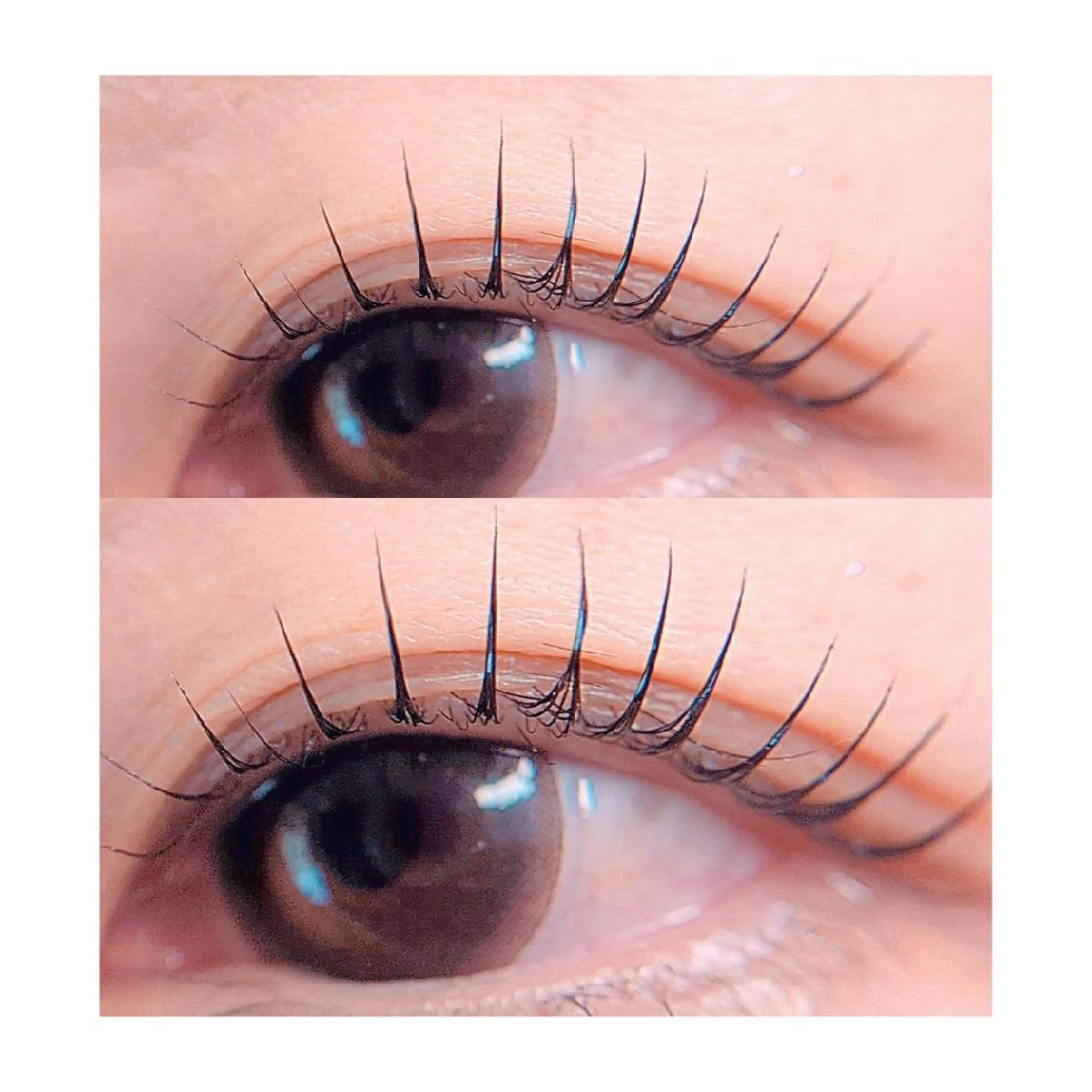 まつげパーマ上下(秋限定の保湿たっぷりトリートメント付き)の写真