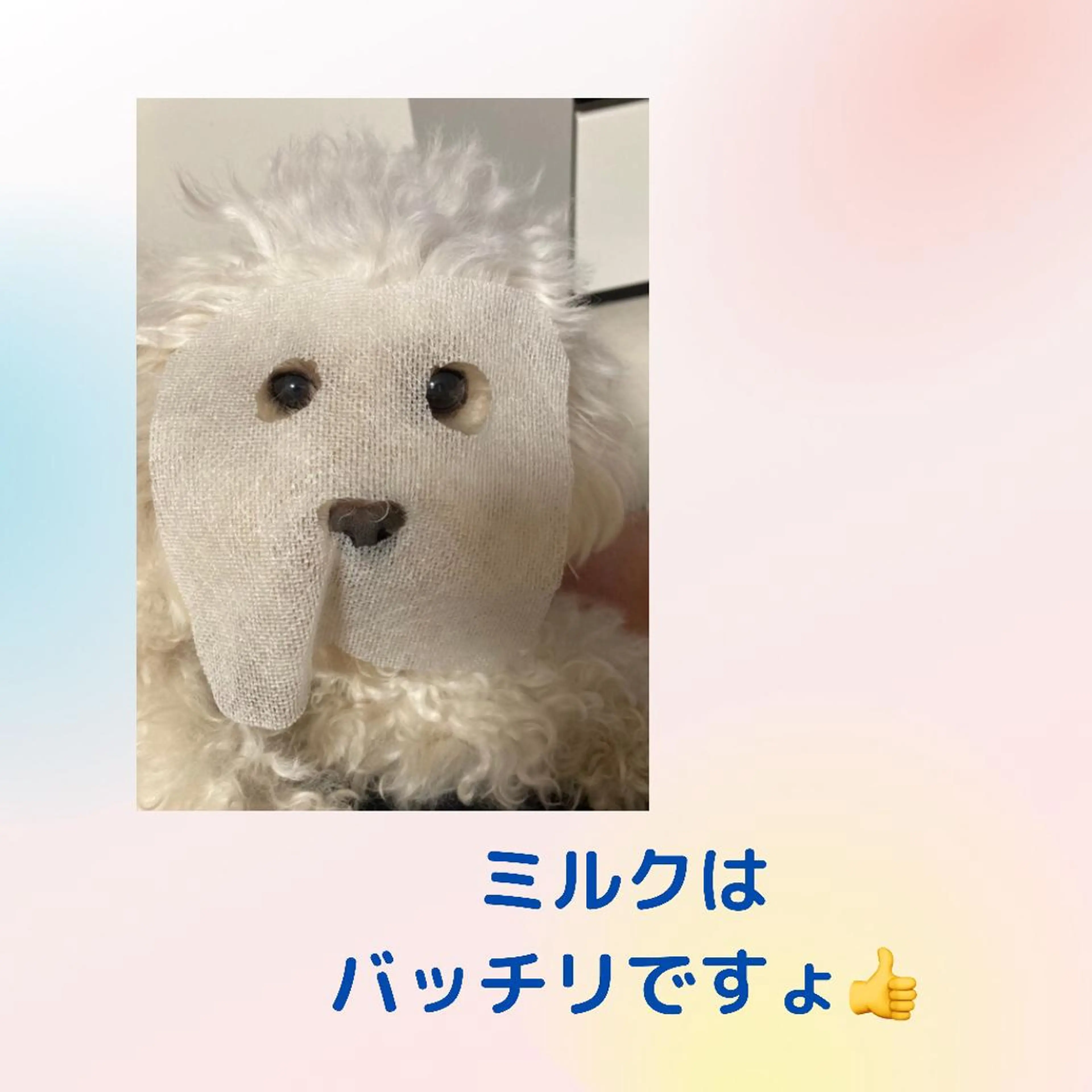 POLAエステインあい所属・POLA エステインあいのエステ・リラクイメージ