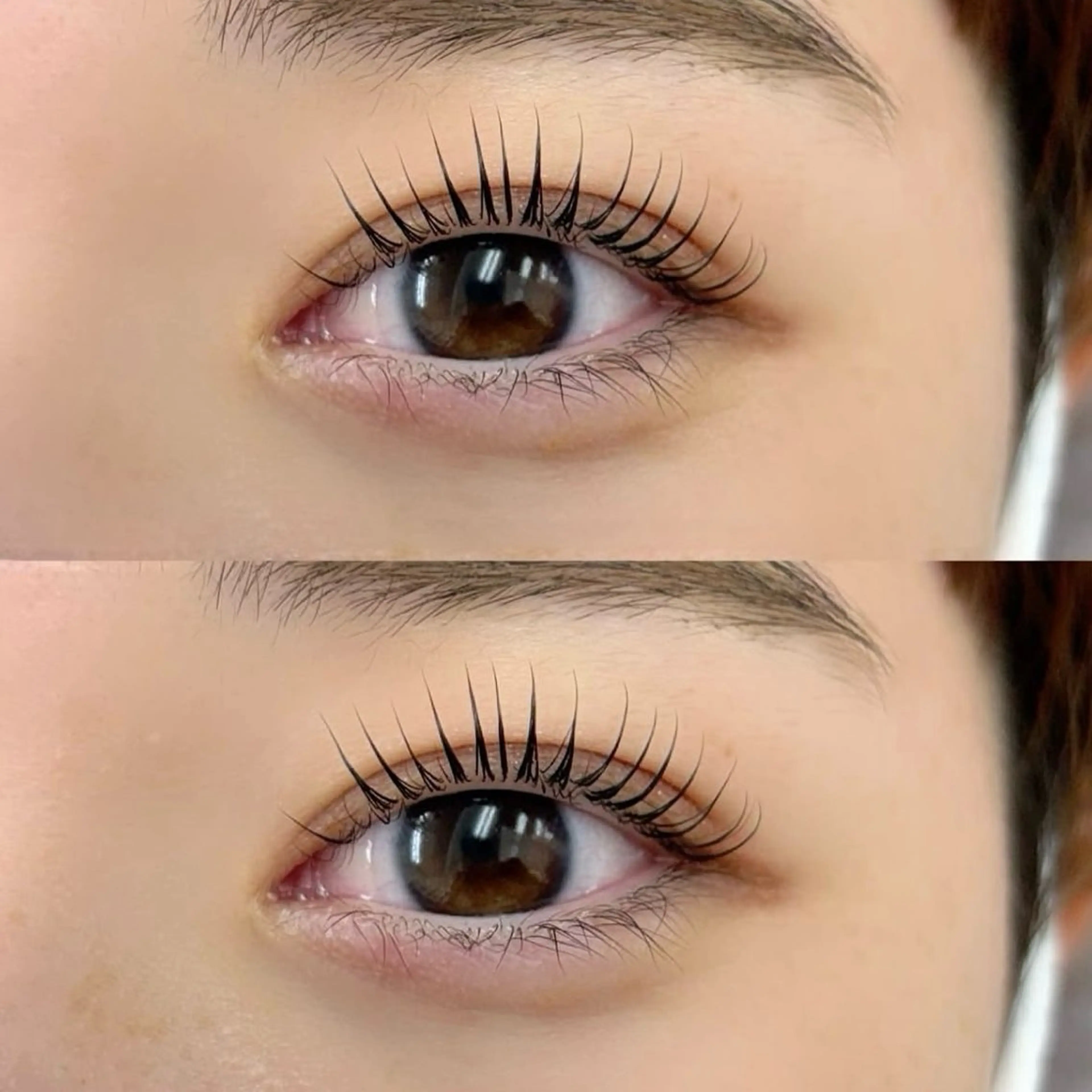 マツエク・マツパ 無料🪹 マツエクモデル募集中のマツエク・マツパデザイン