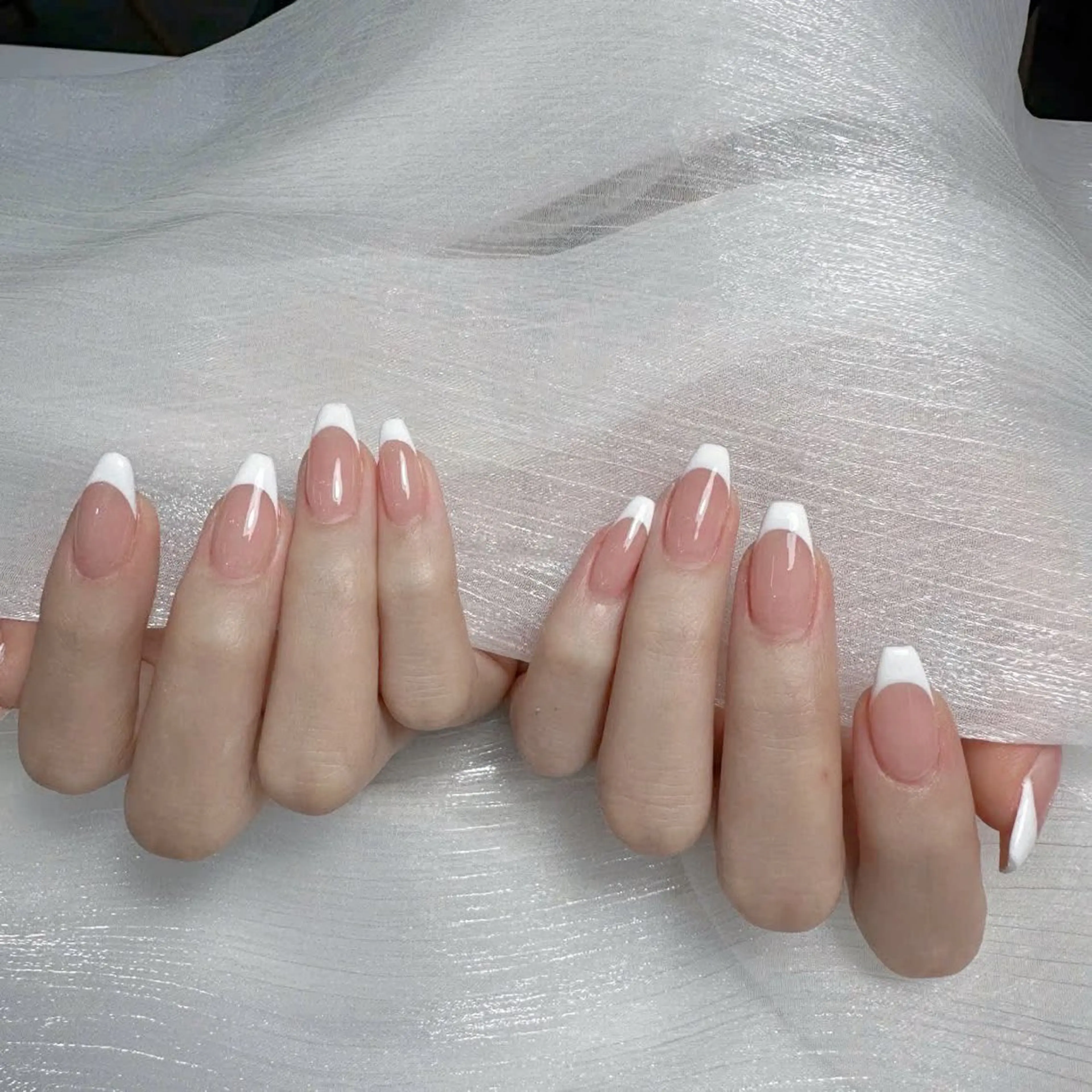 シンプルデザイン:フレンチ、グラデーション、…の写真