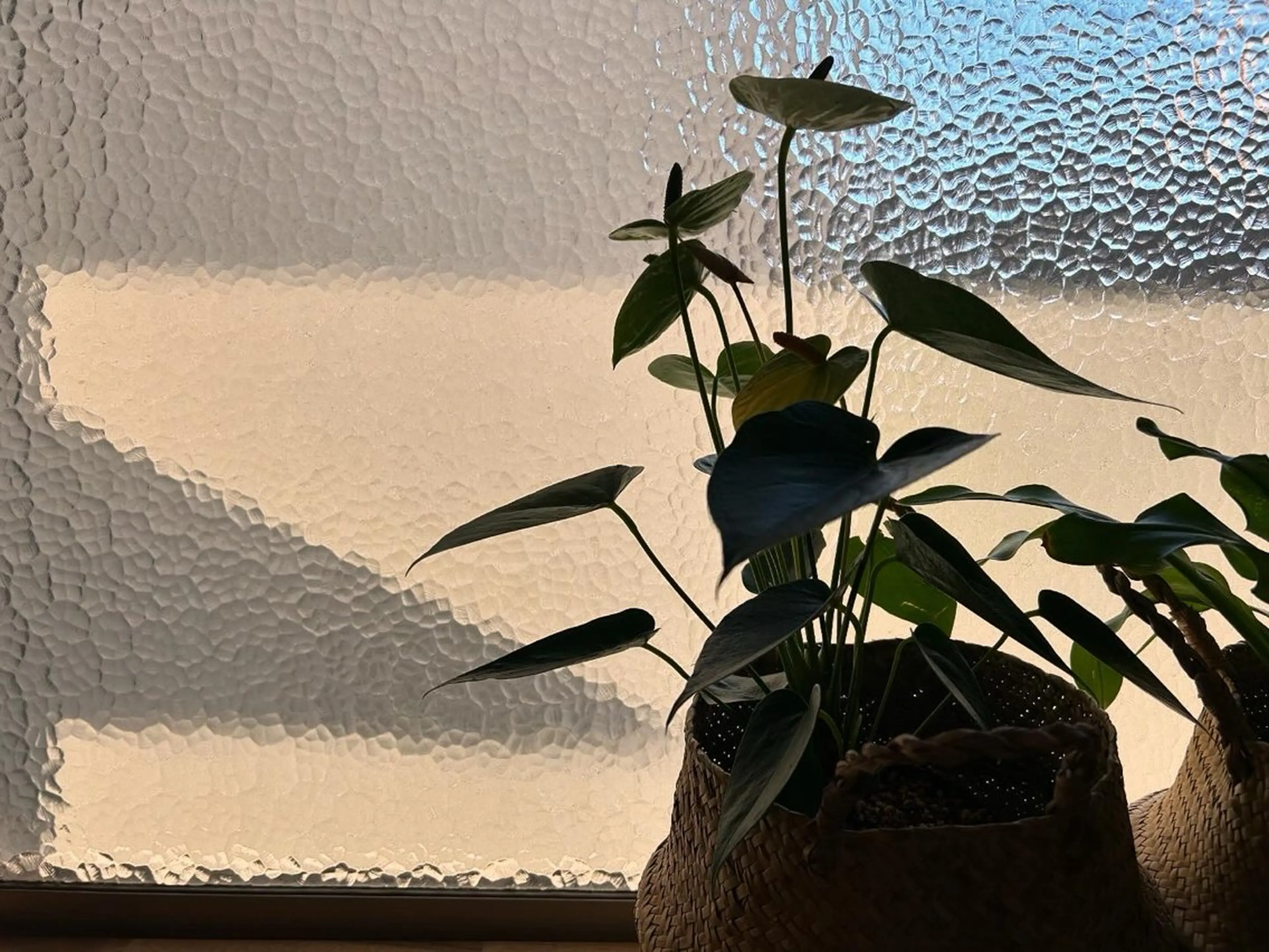 Born to be yoga&relaxのエステ・リラクイメージ