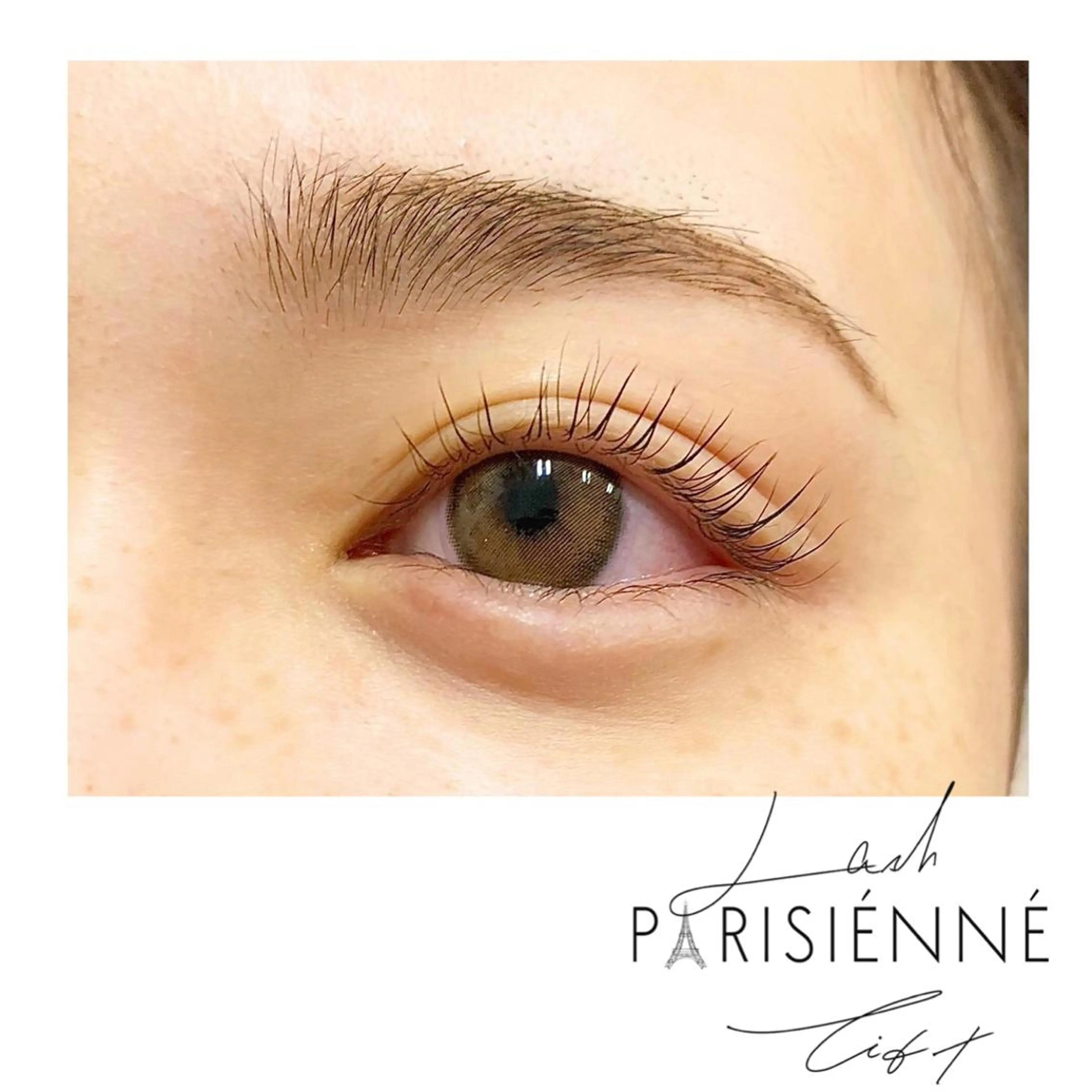 《学生限定価格》パリジェンヌラッシュリフトの写真