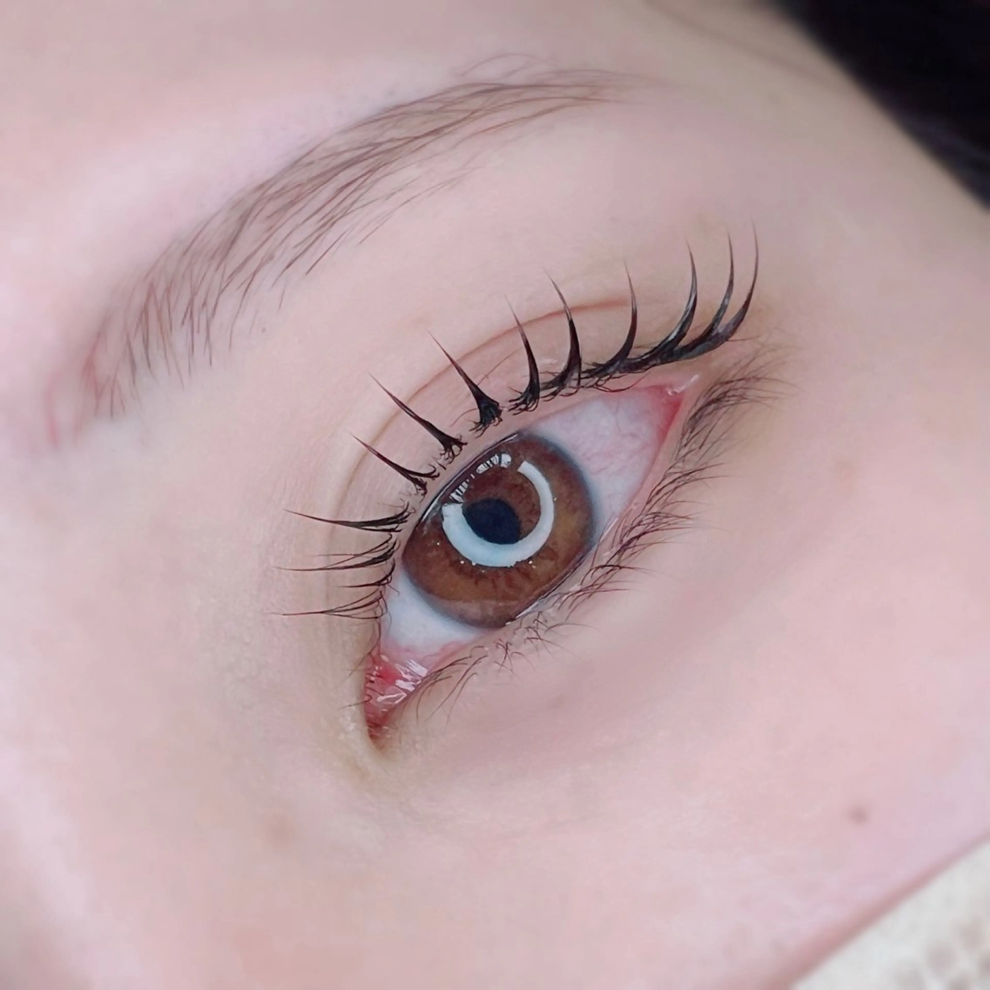 マツエク・マツパ 垢抜け眉WAX専門 ちゅるんまつげ|鎌倉の眉毛・アイブロウイメージ