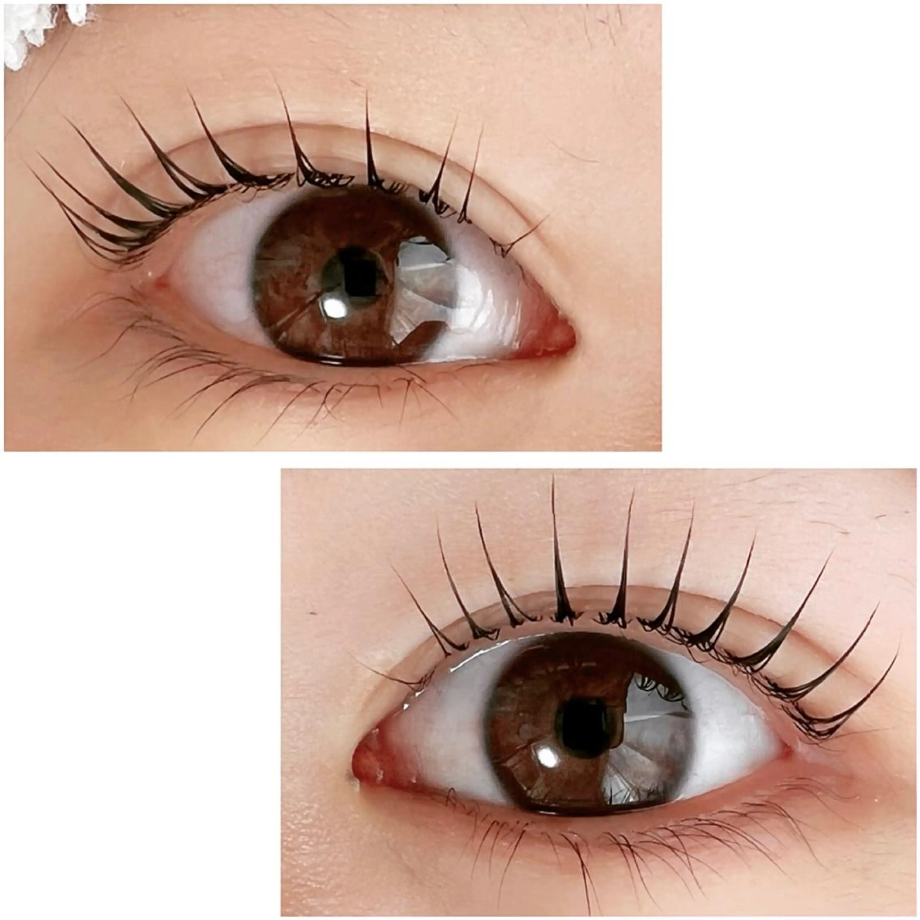 マツエク・マツパ Adorer(アドレ)所属・Adorer 🍀アドレ🍀のマツエク・マツパデザイン