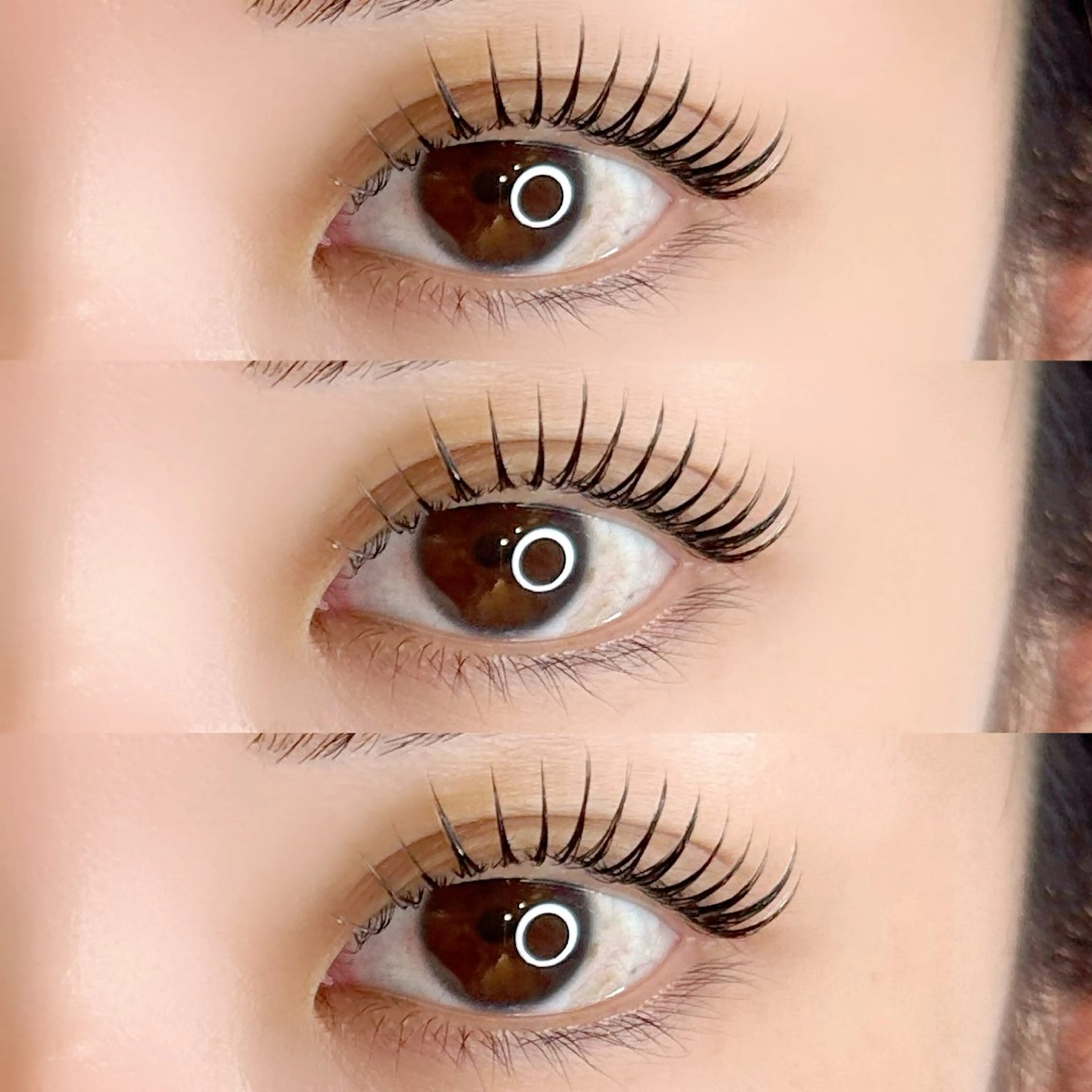 韓国マスカラパーマ ✨美容成分配合🎀コーティング仕上げ🫧指名料込の写真