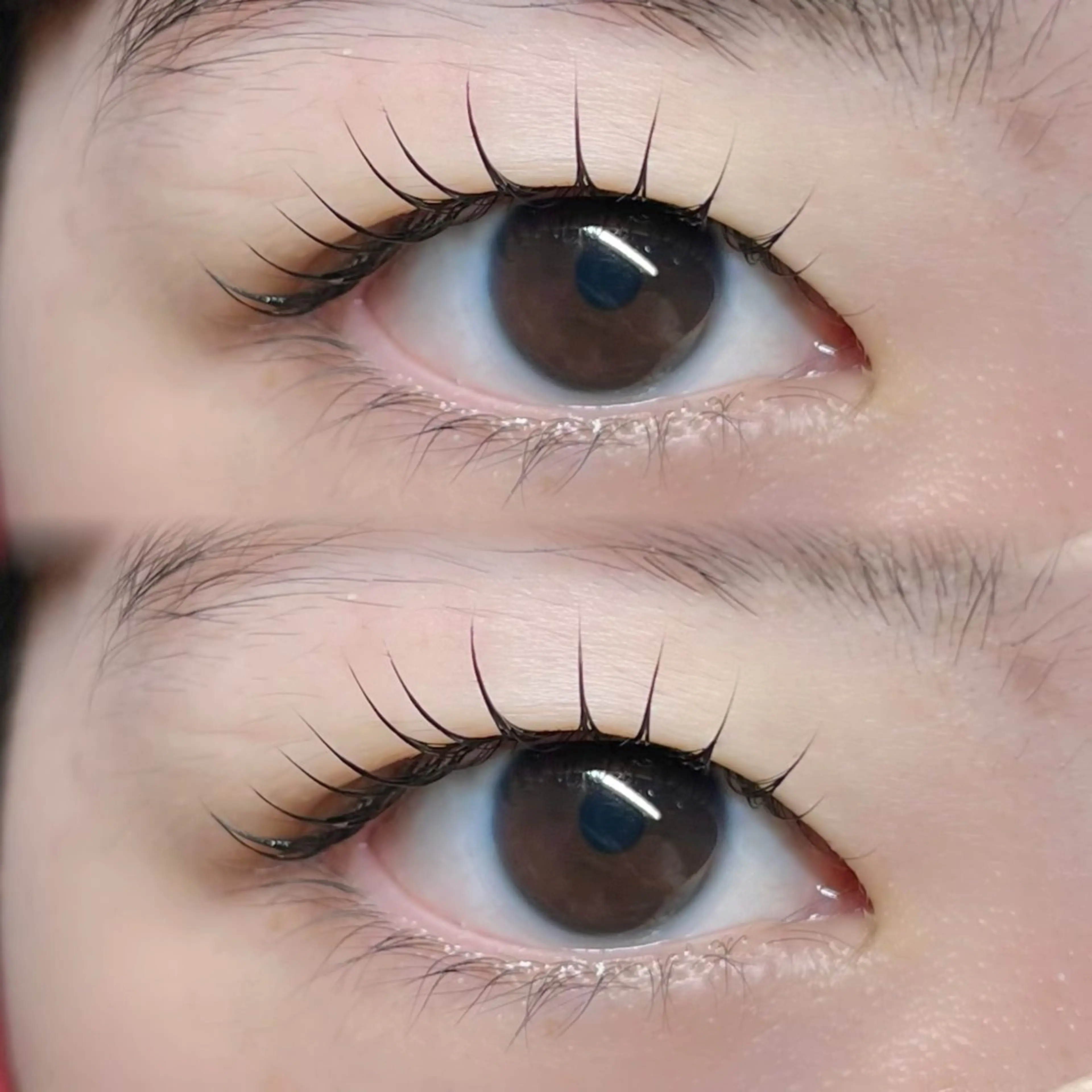 マツエク・マツパ マツパ MADRAS aikaのマツエク・マツパデザイン