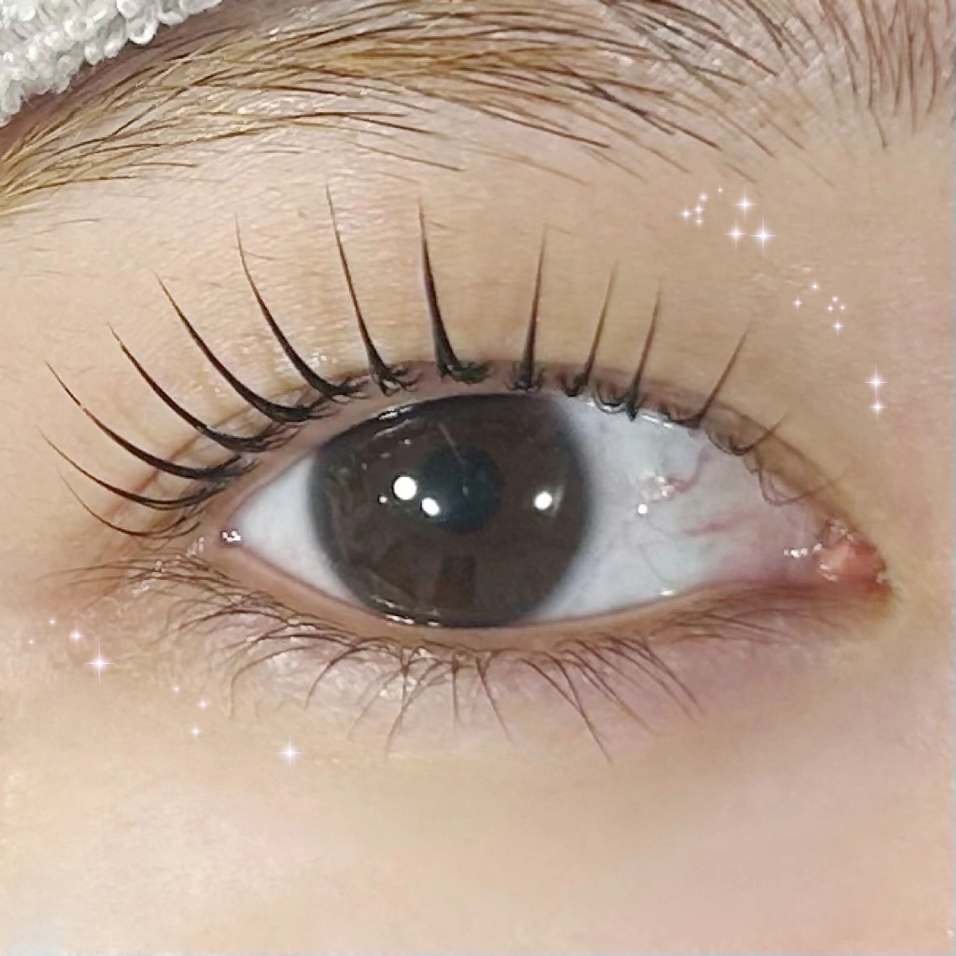 マツエク・マツパ パリジェンヌラッシュリフト マツパ マリーテレジア🐰 okamotoのマツエク・マツパデザイン