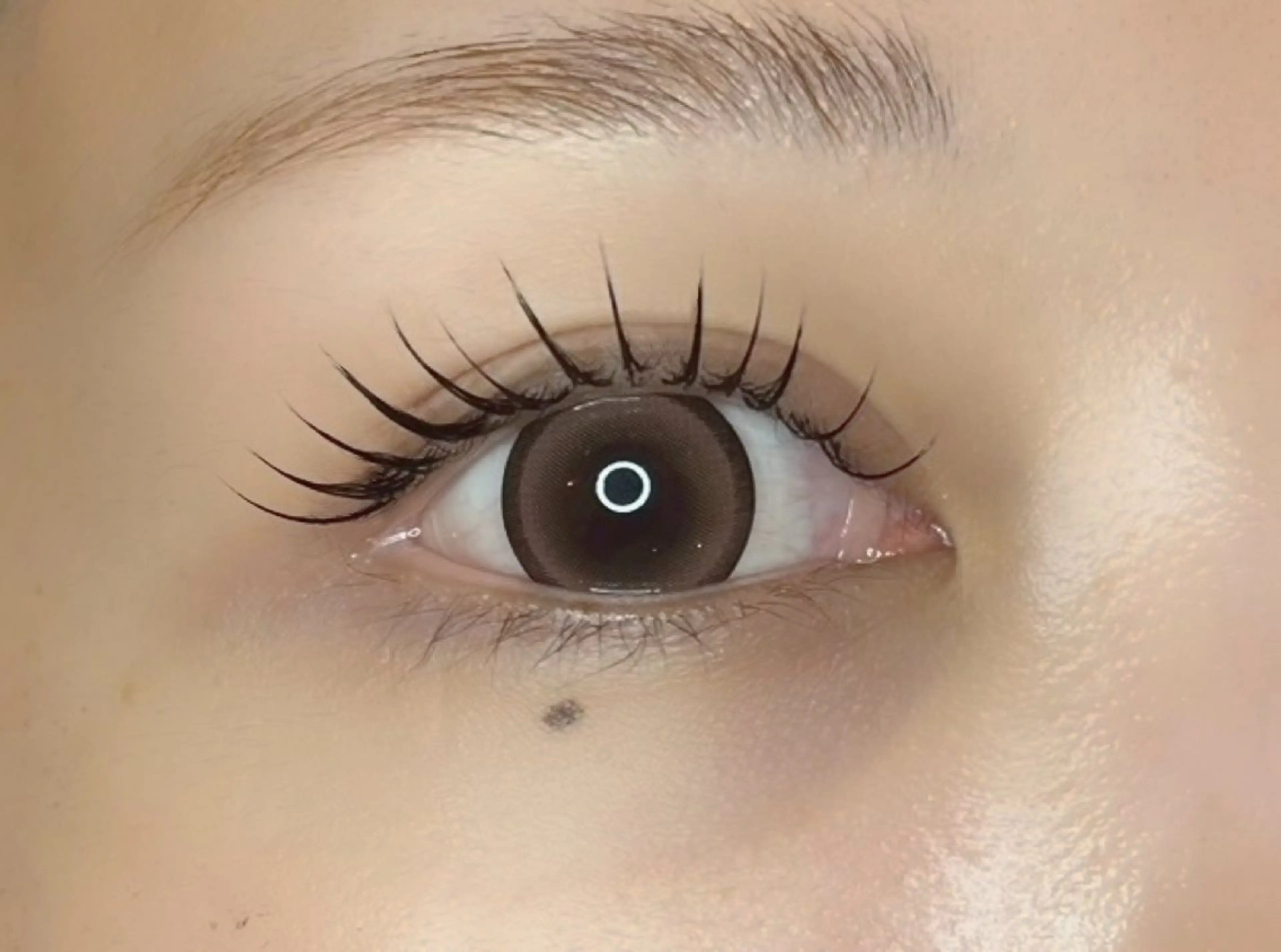 マツエク・マツパ Eyelash salon Kanau 銀座所属・アイラッシュサロン Kanau 銀座店の眉毛・アイブロウイメージ