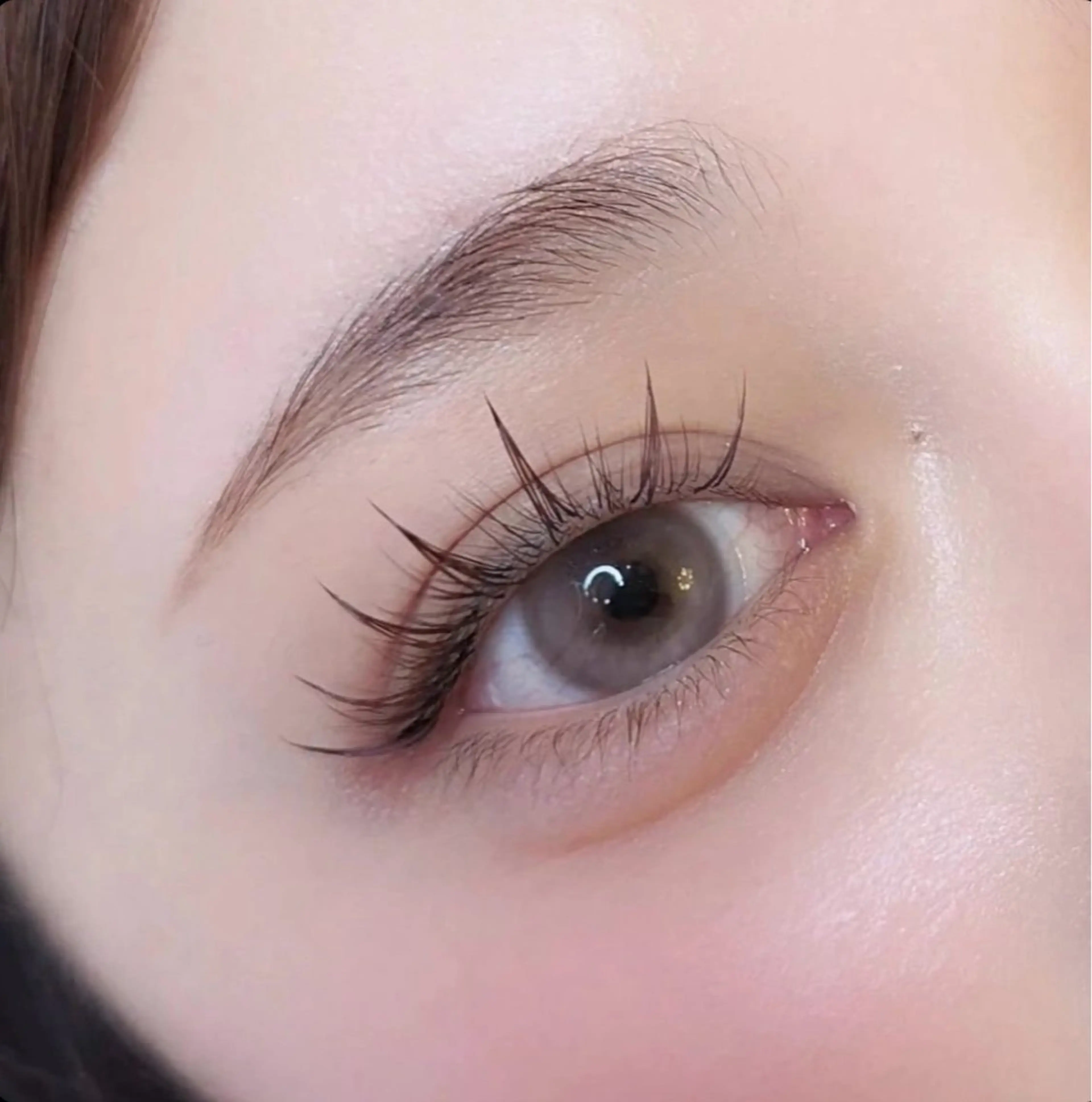 【平日限定】まつげパーマ/ラッシュリフト🍀の写真