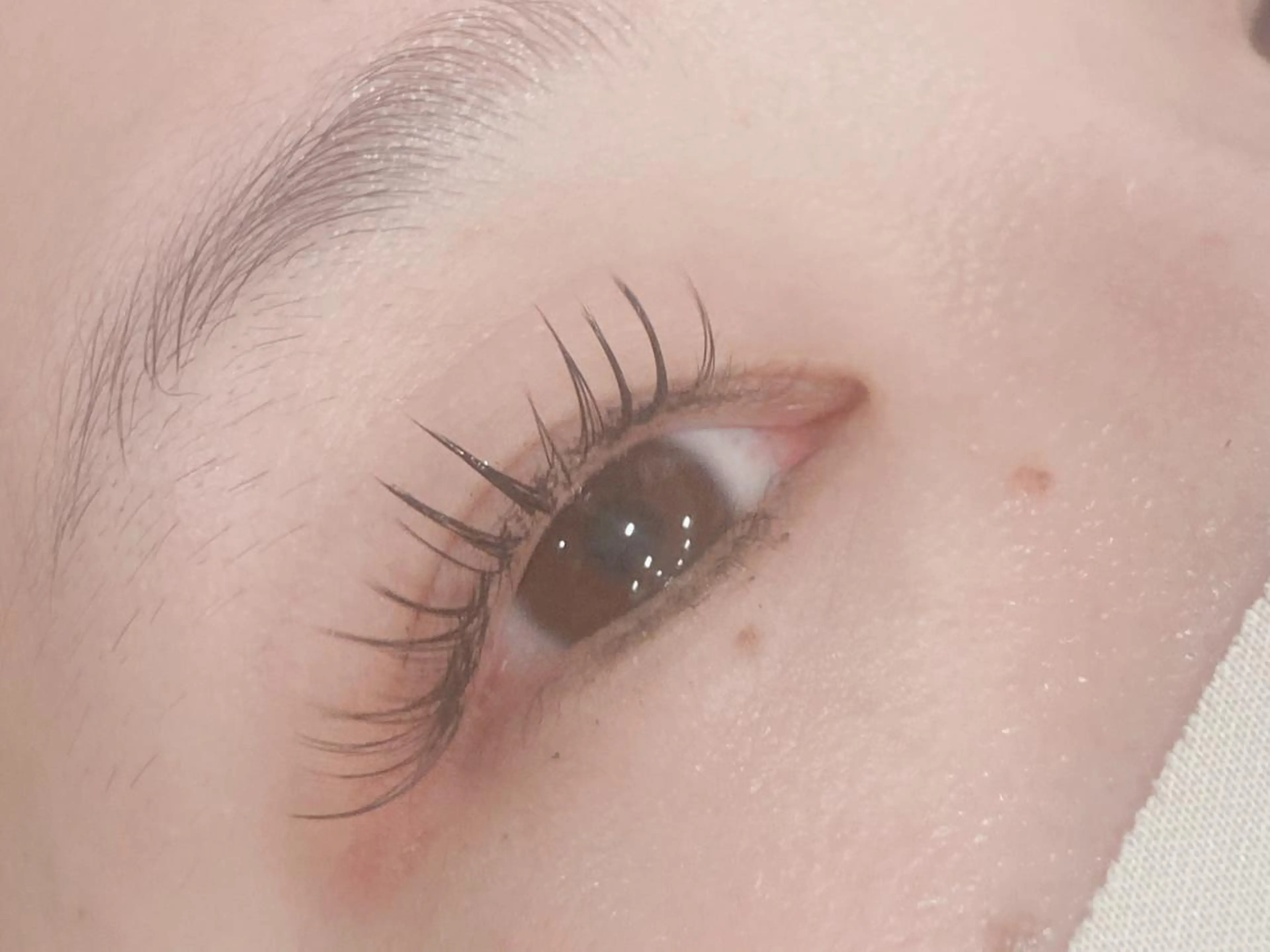 マツエク・マツパ 束感まつ毛 Cカール セクシー Lash by Glisse所属・Lash by Glisseのマツエク・マツパデザイン