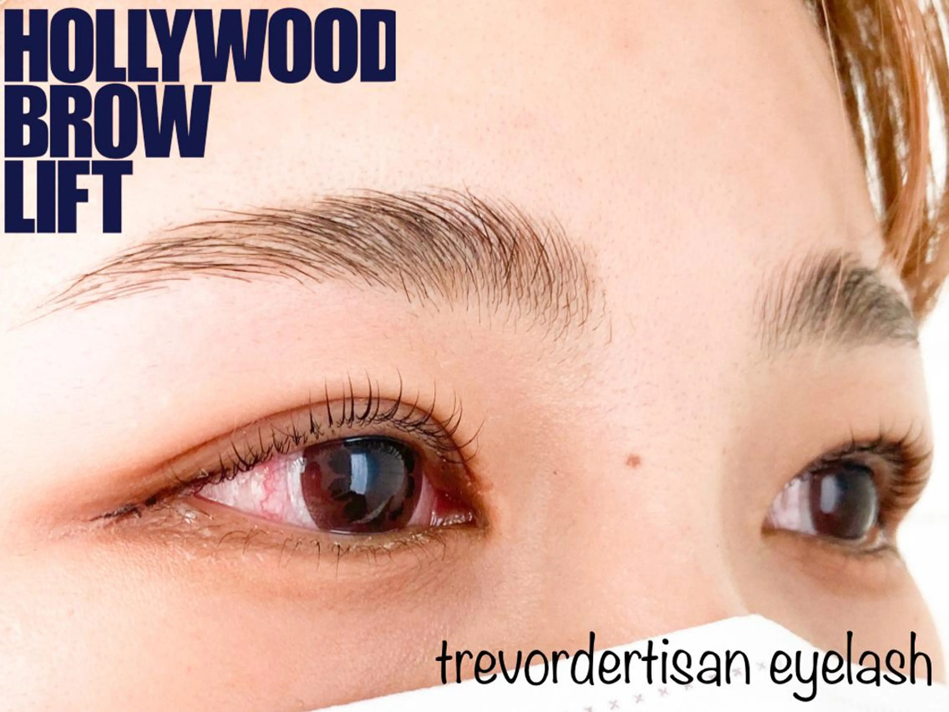 トレヴァーデルチザン inuiのマツエク・マツパデザイン