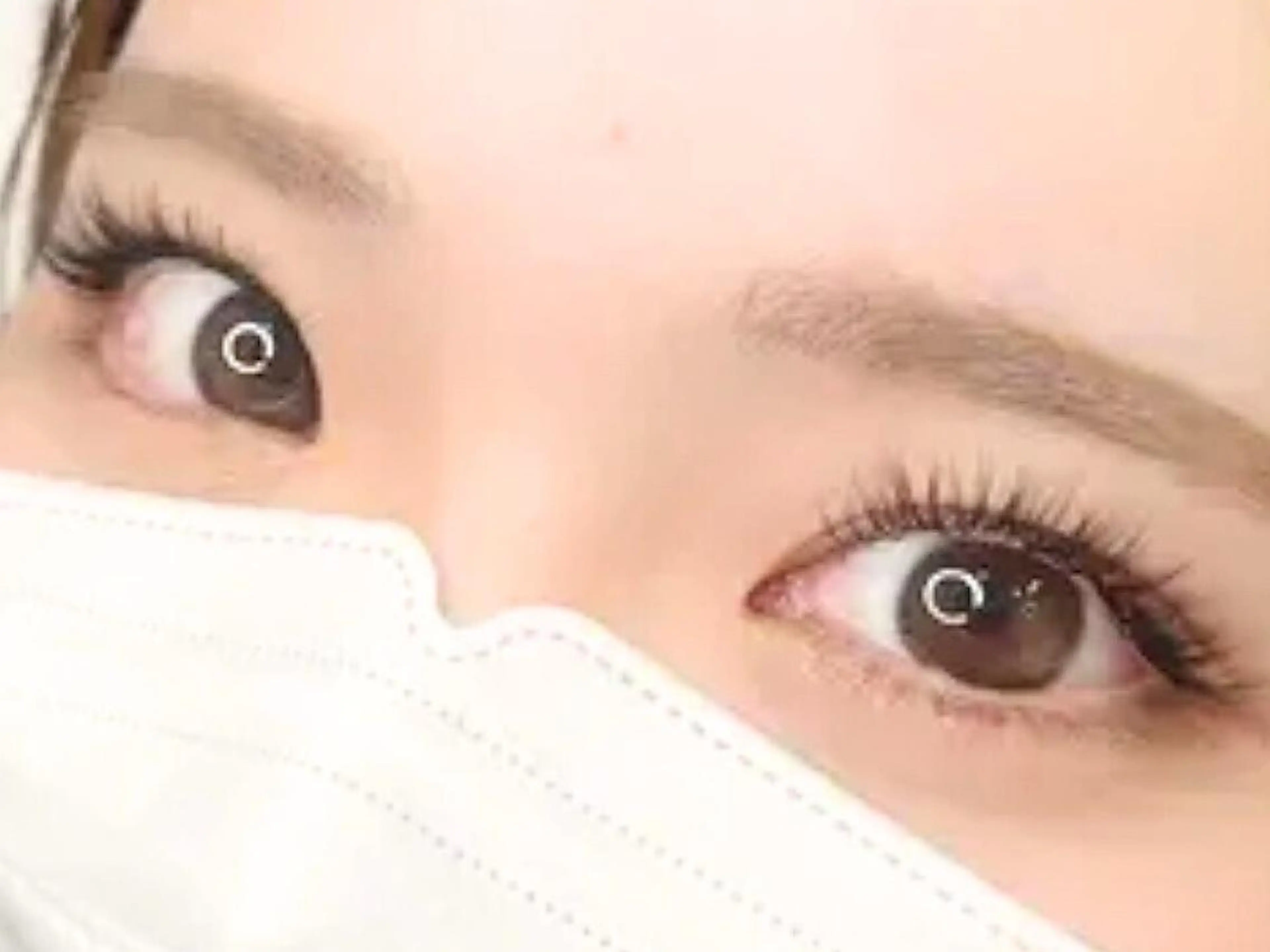 バインドロック【80束】の写真