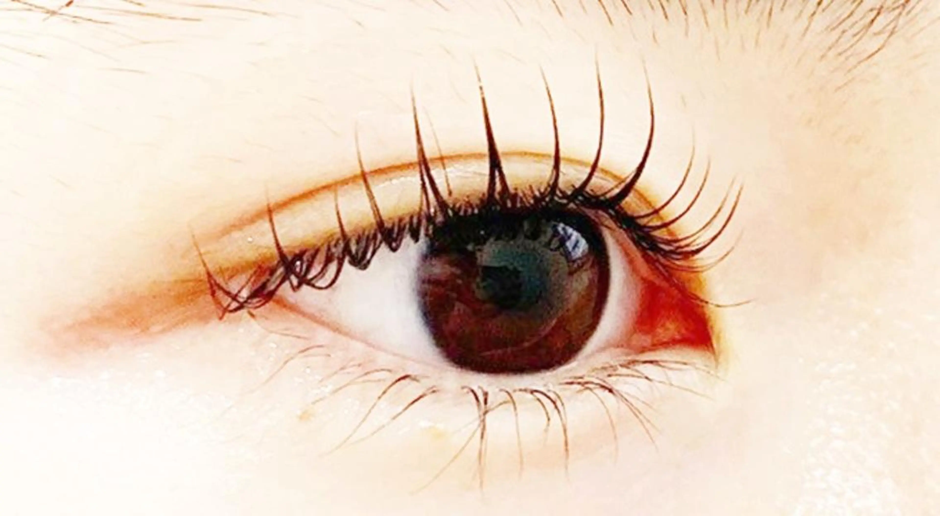 学割まつ毛カール×学割アイブロウスタイリングの写真