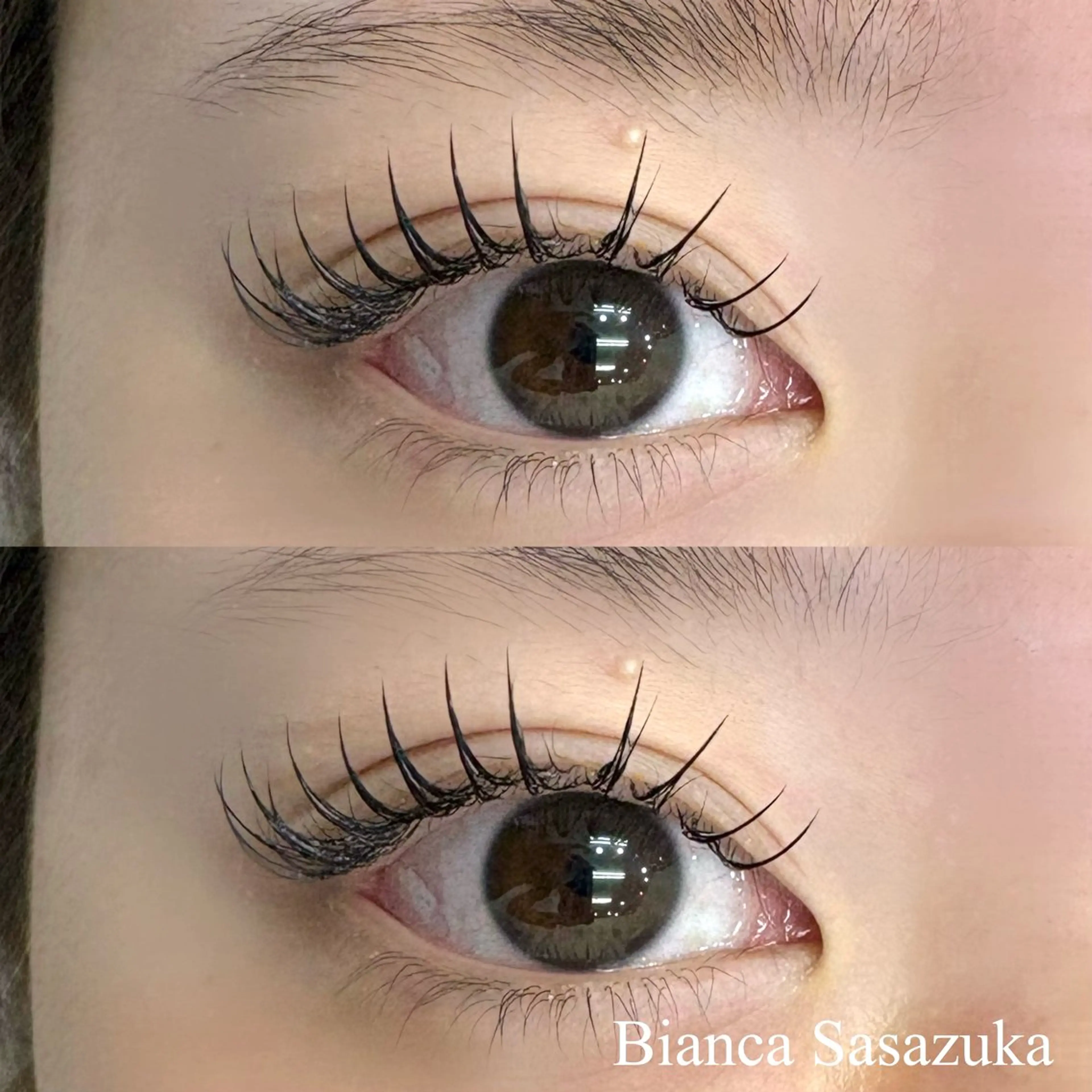 🌺LEDフラットラッシュ100本🌺 新規¥7,430/再来¥8,530/コーティング仕上げ/笹塚の写真