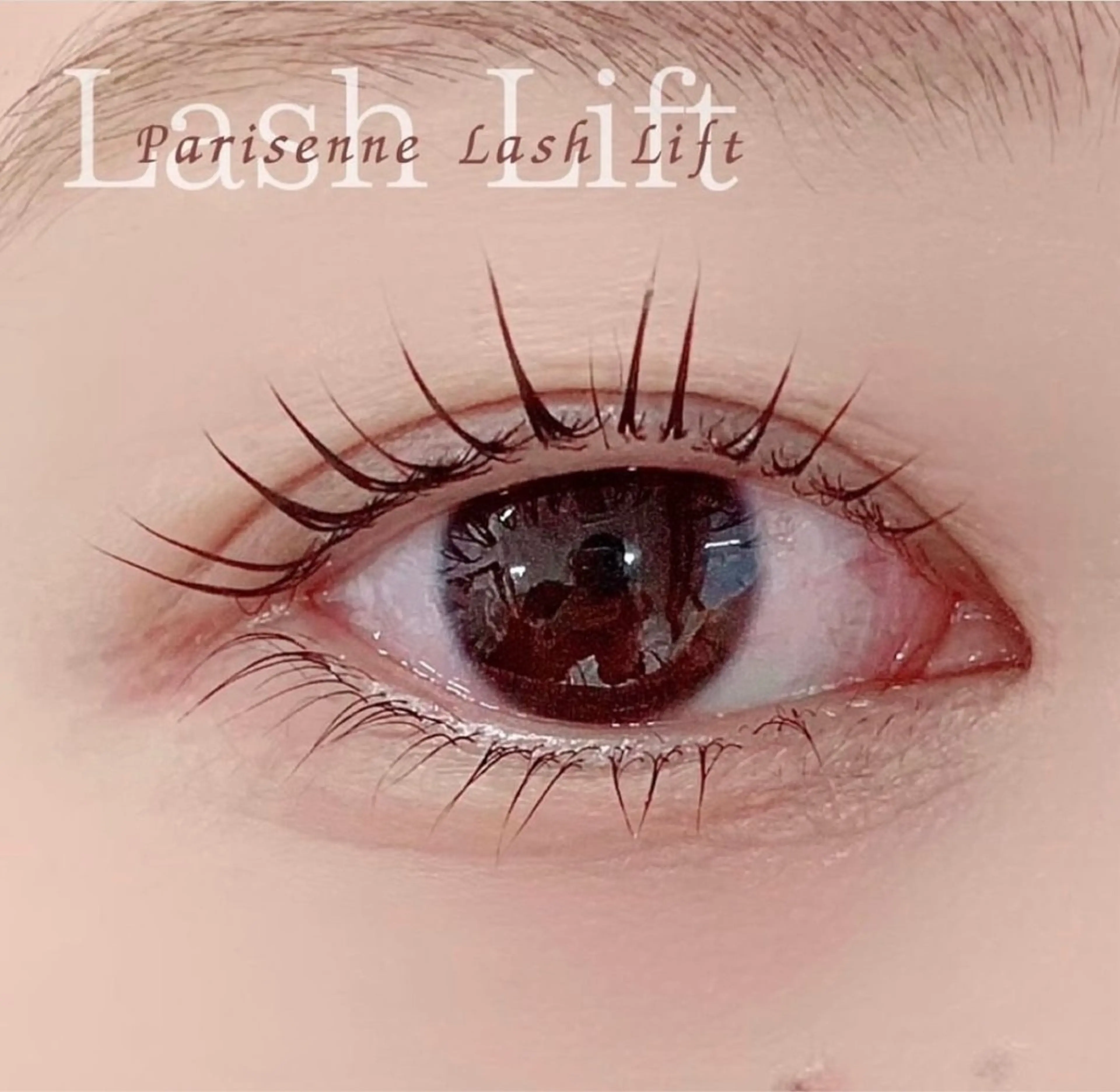 マツエク・マツパ Sachie/ パリジェンヌ/LEDのマツエク・マツパデザイン