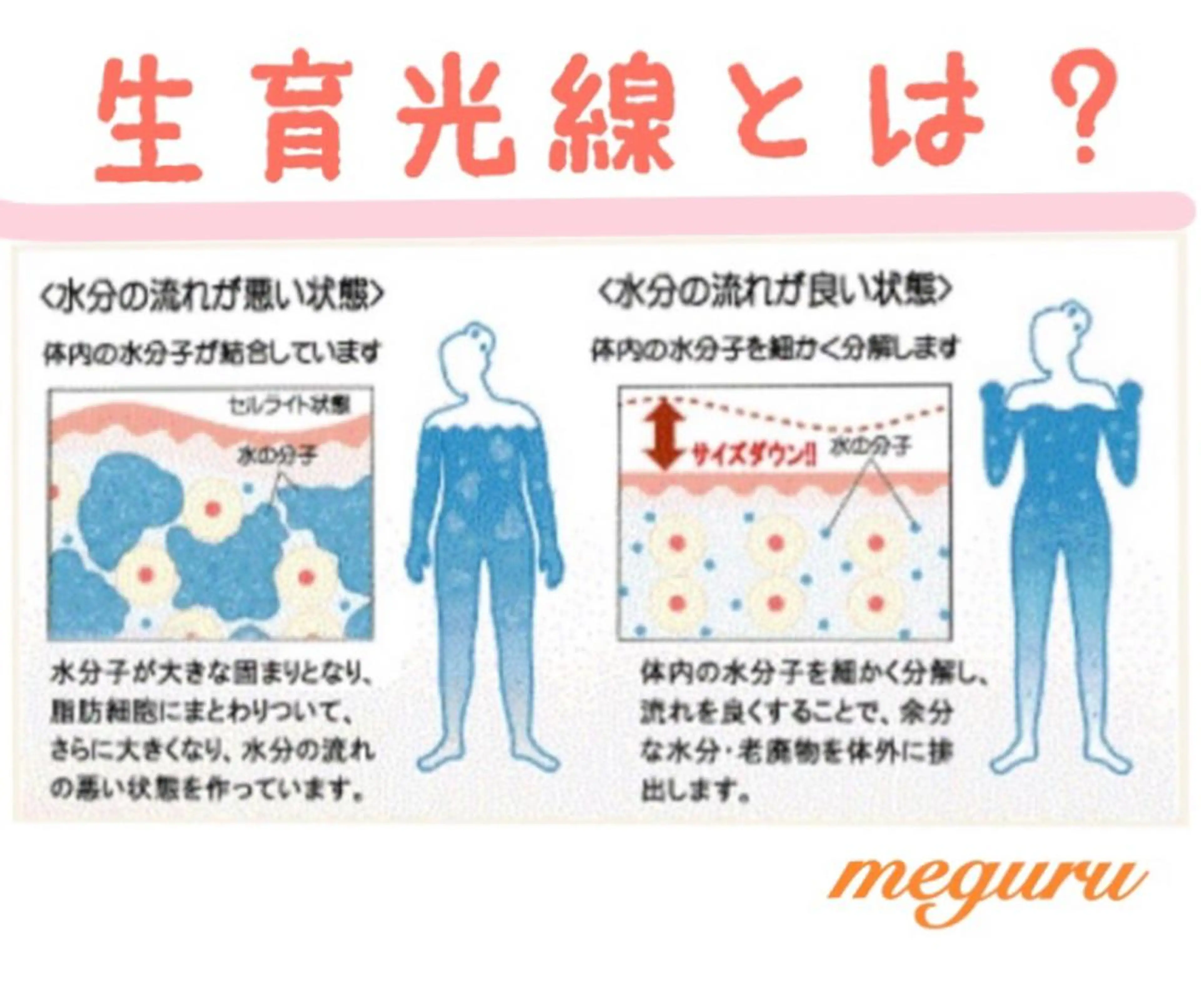 ショート カラー パーマ ヘアアレンジ メンズ キッズ ネイル マツエク・マツパ マットネイル エステ リラク ‍痩身＆ボディ 結果出し🌟丹野のエステ・リラクイメージ