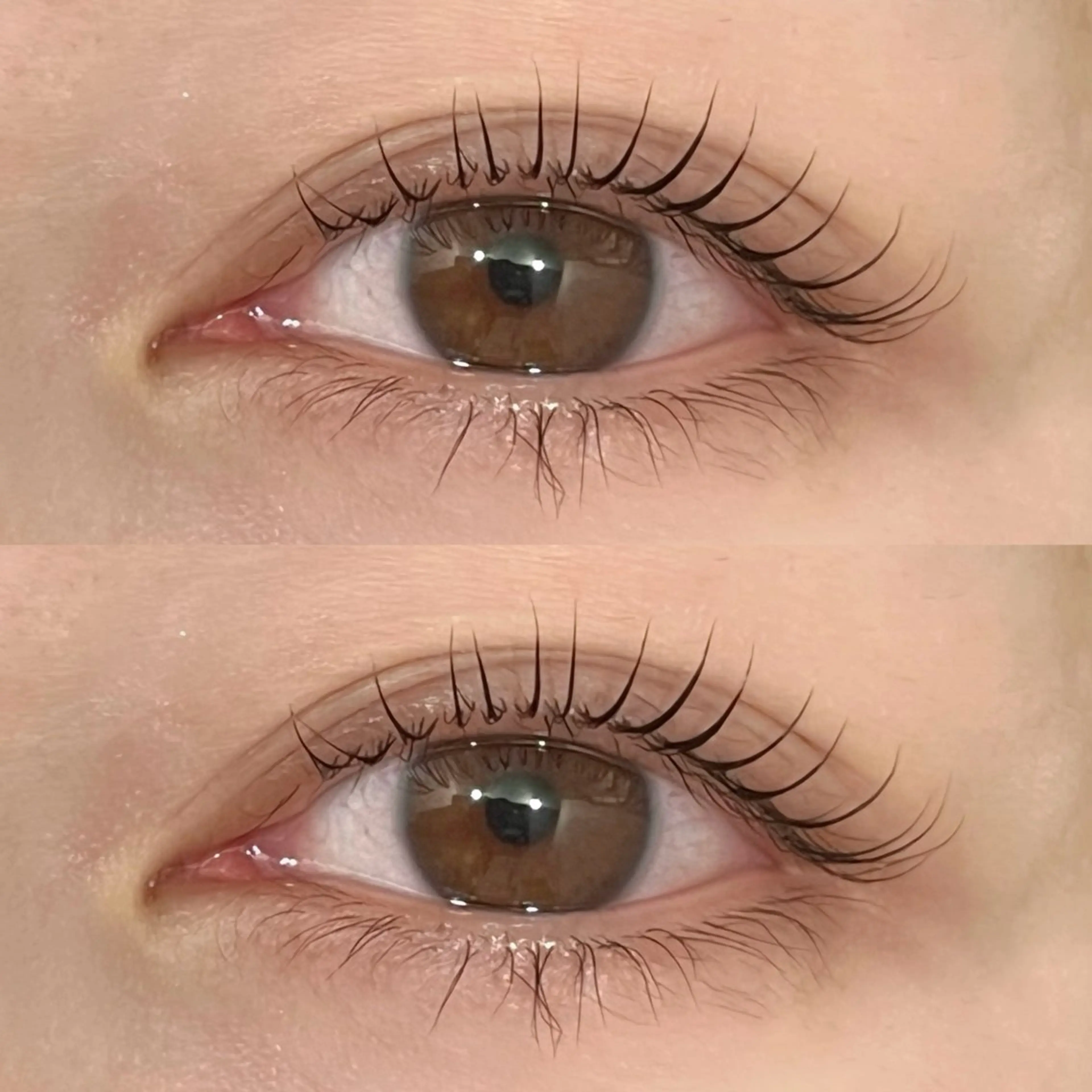 🫧コーティング仕上げ ラッシュリフト( まつげパーマ )🫧の写真