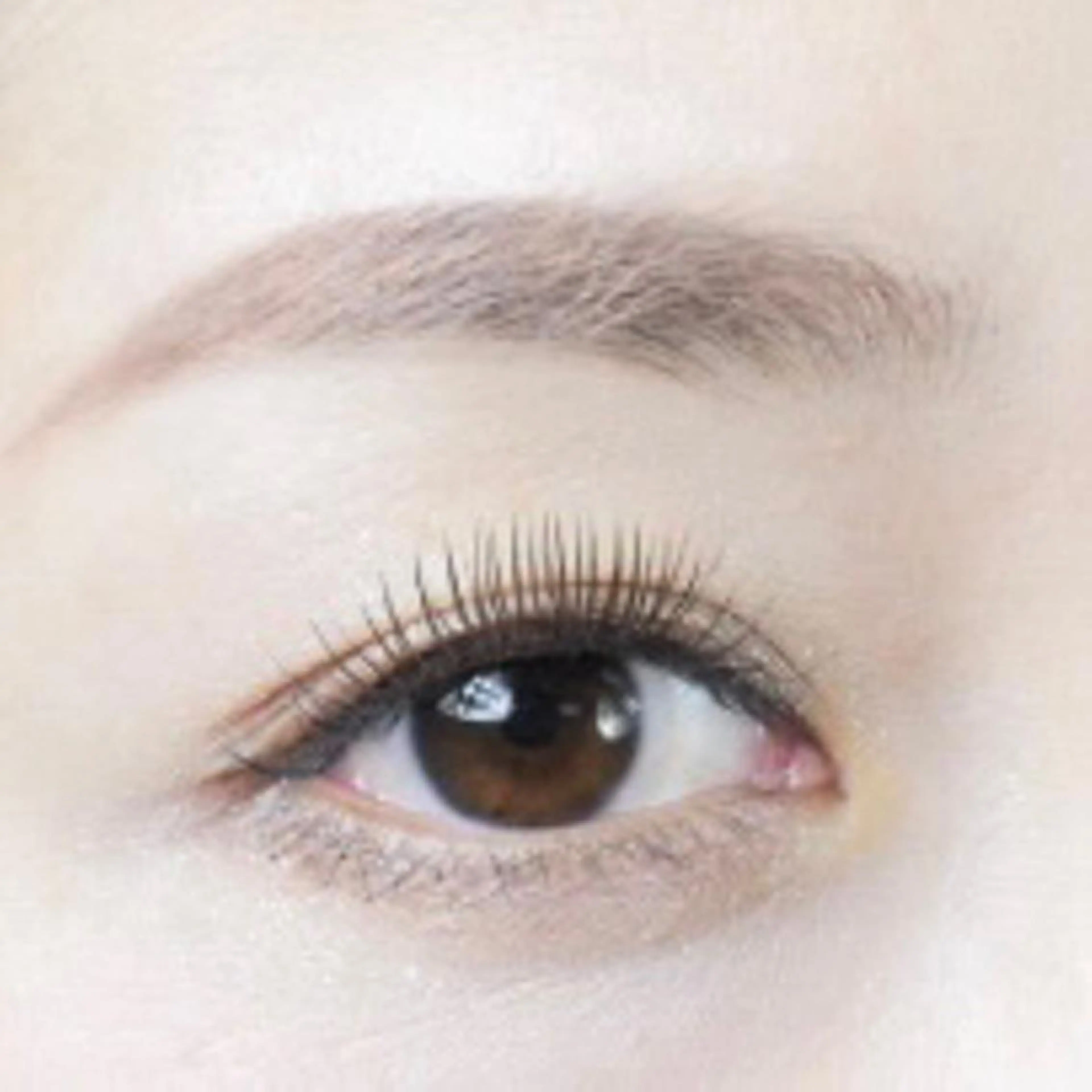 マツエク・マツパ oyat ..の眉毛・アイブロウイメージ