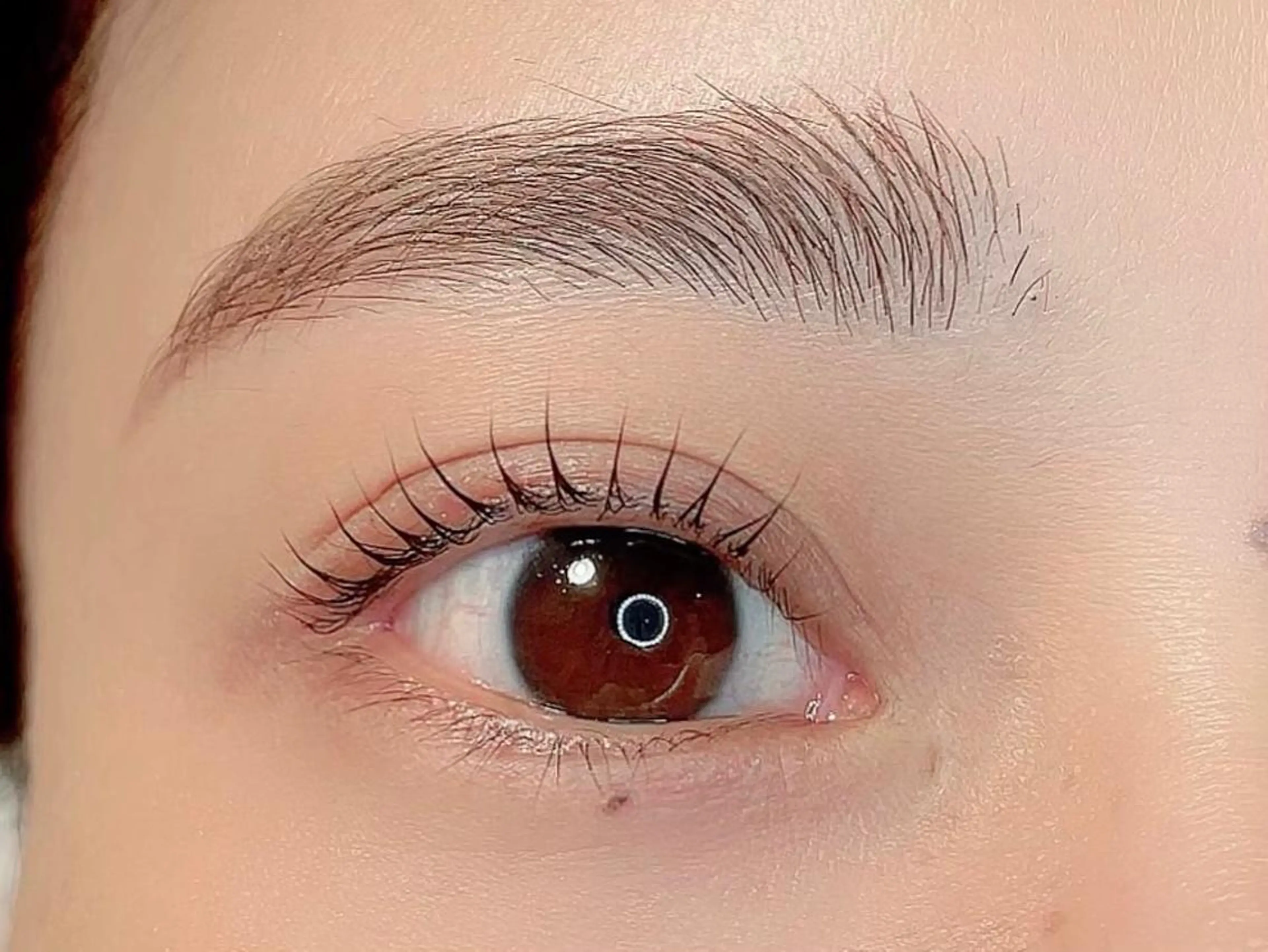 2月5日限定パリジェンヌorラッシュリフトまつ毛パーマ練習 モデル◎の写真