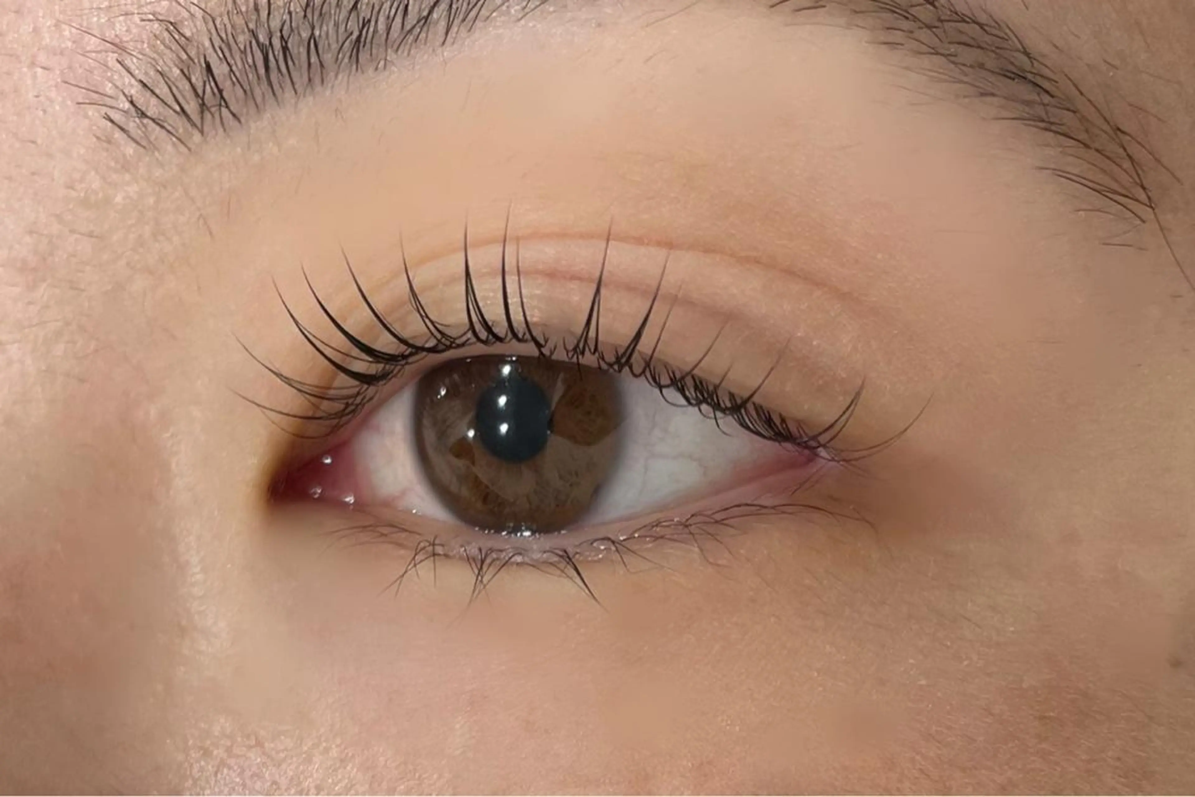 マツエク・マツパ MAQUIA 心斎橋店　川口のマツエク・マツパデザイン