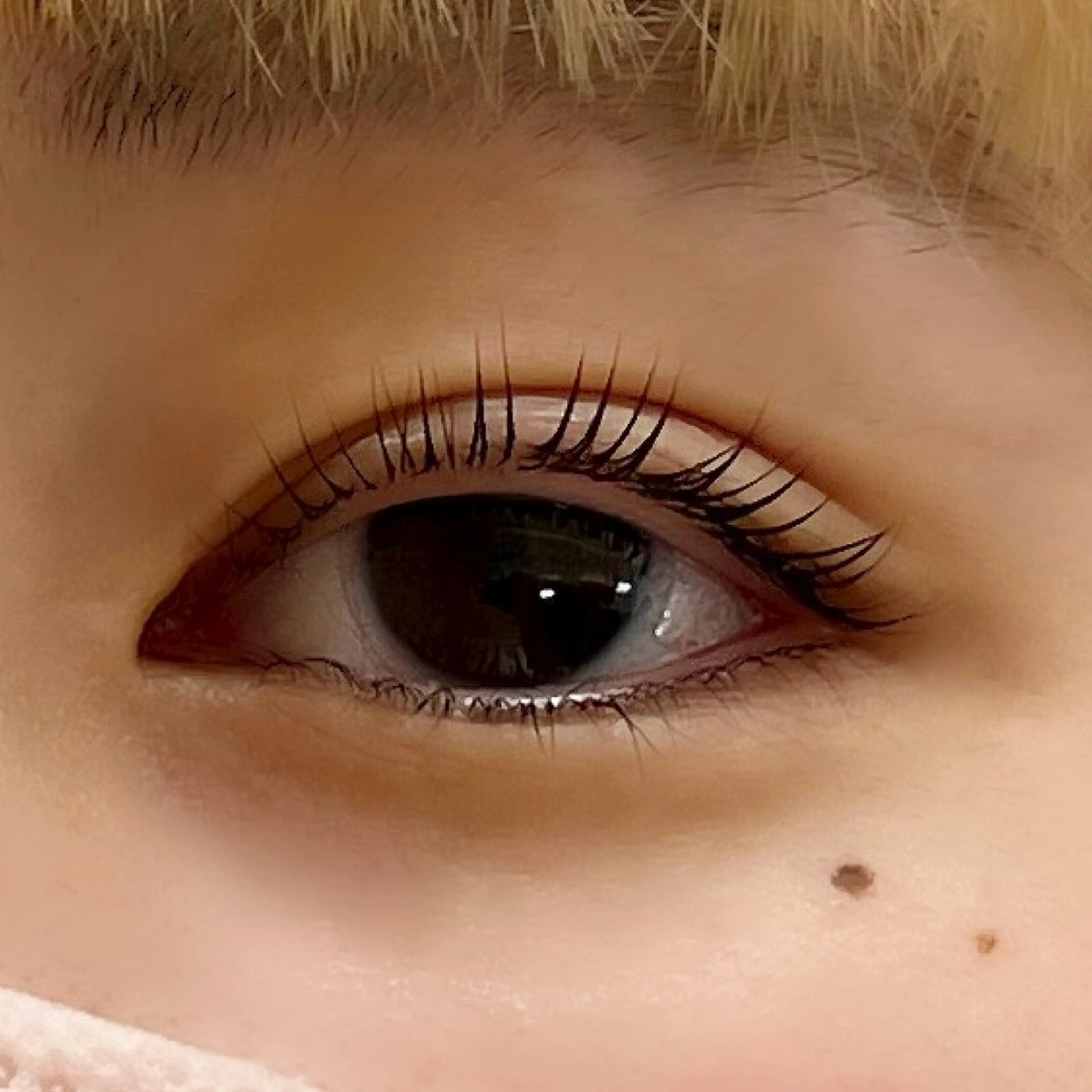 マツエク・マツパ プラスアイ横浜西口店所属・🌙 RINNAのマツエク・マツパデザイン