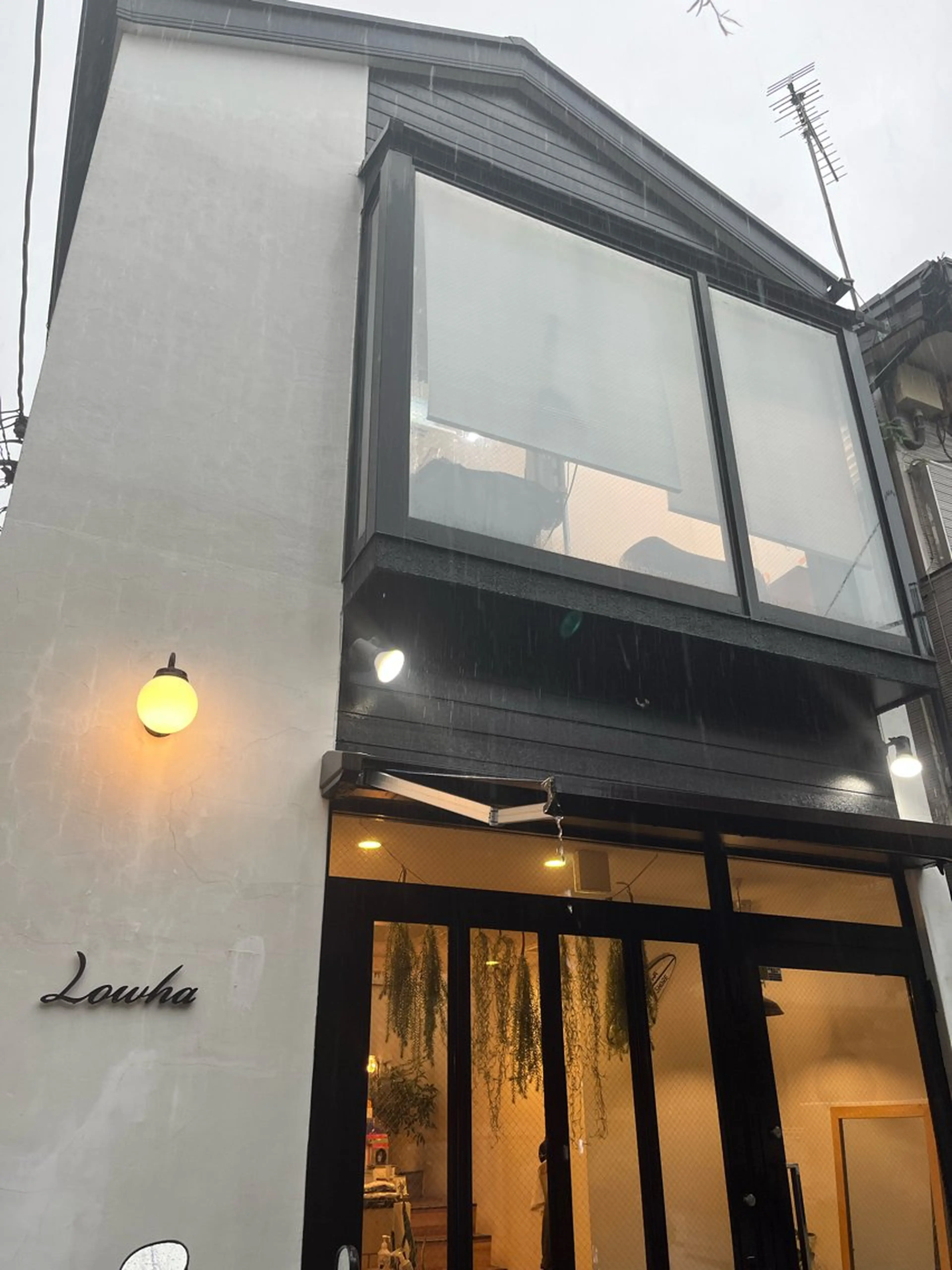 Lowha(ローハ)所属・蓑島廉 ミノシマレンのヘアスタイル