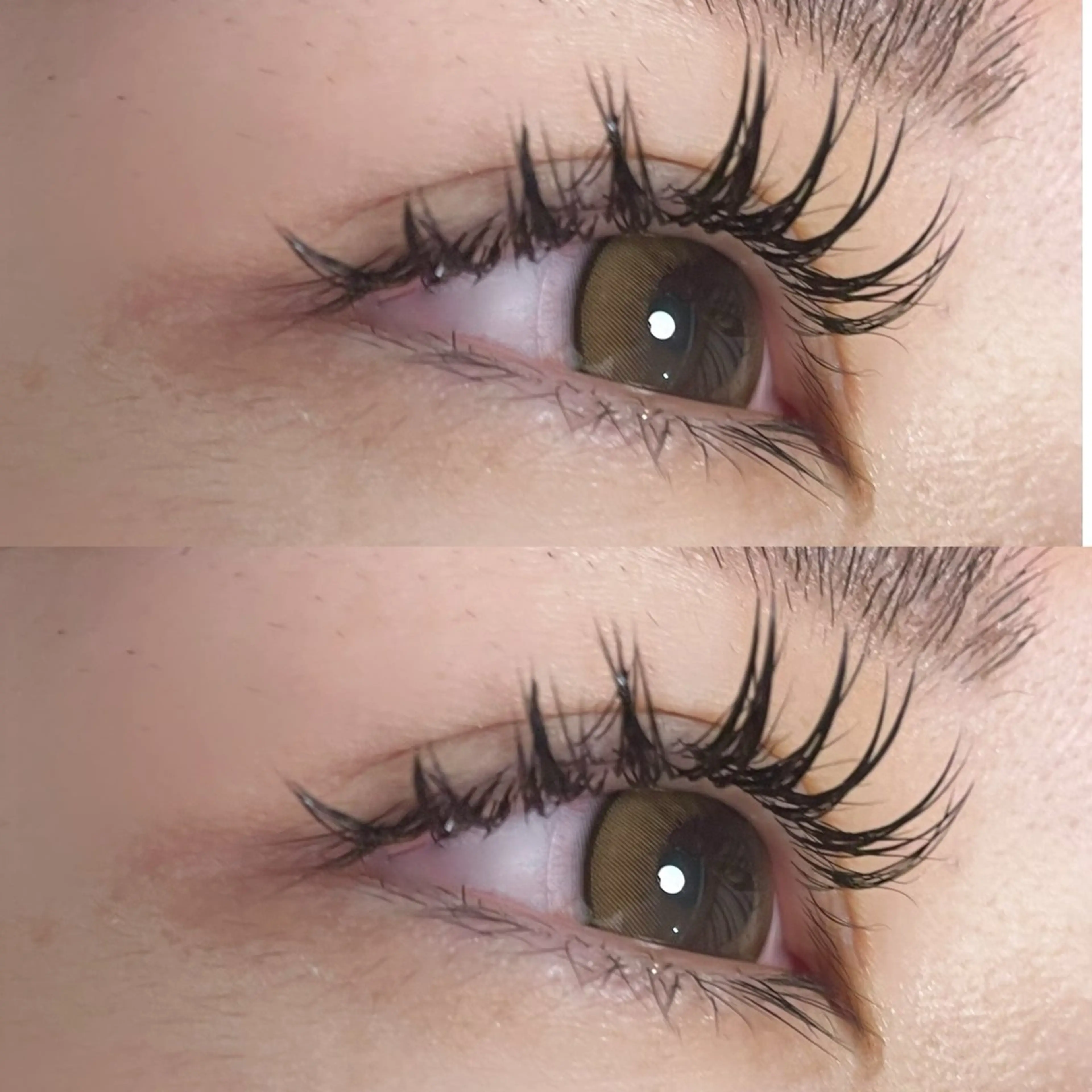 マツエク・マツパ マツエク Ayumi.dre 🌸Y《2階》のマツエク・マツパデザイン